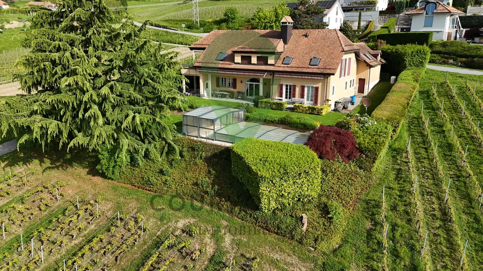 BELLE DEMEURE VIGNERONNE AYANT DU POTENTIEL