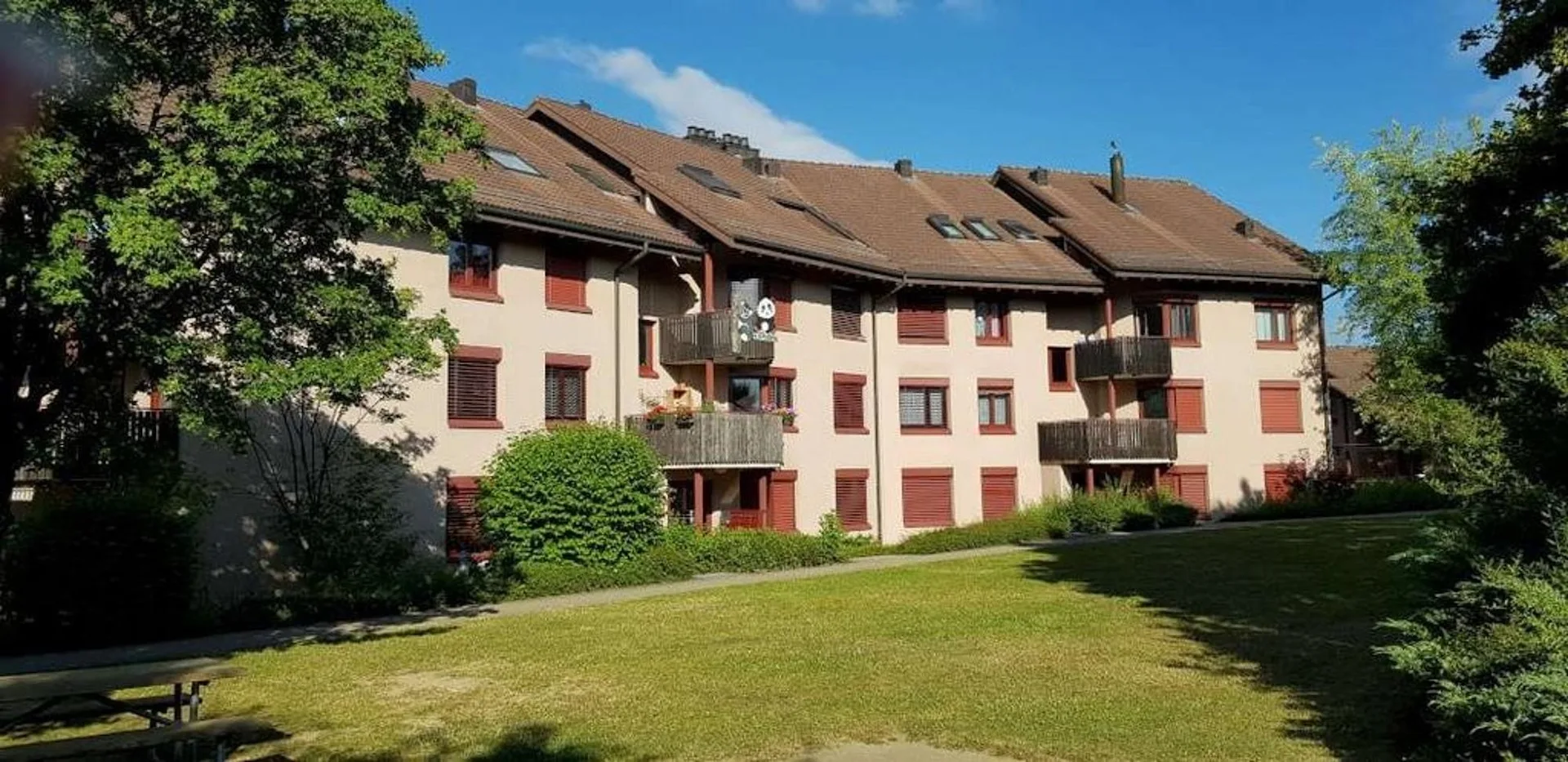 Dies könnte ihr neues Zuhause sein!