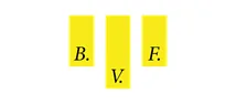 BVF, Bau-, Verwaltungs-, Finanzierungs- und Treuhand AG