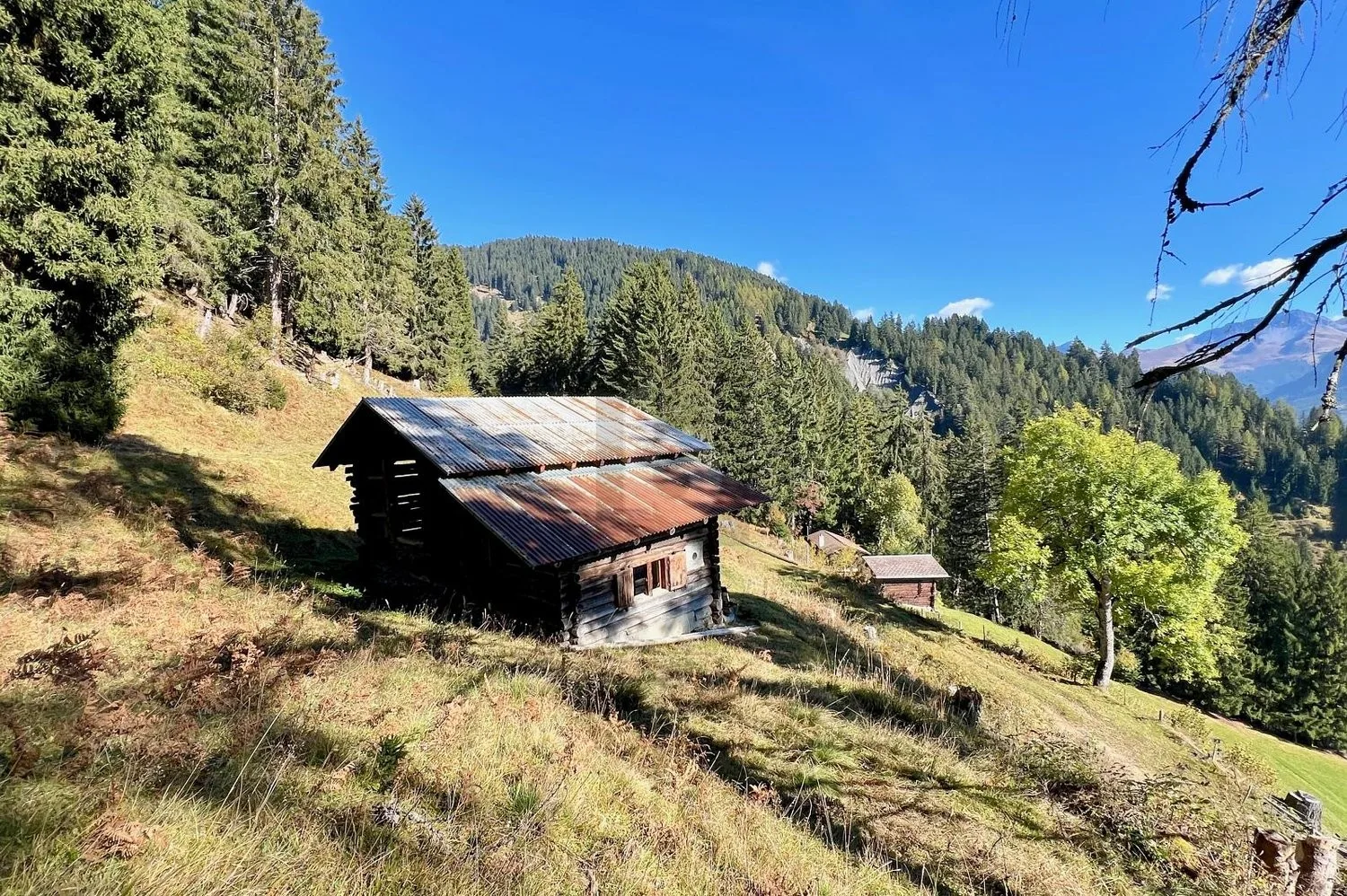 IDYLLISCHES MAIENSÄSS OBERHALB VON CASTIEL