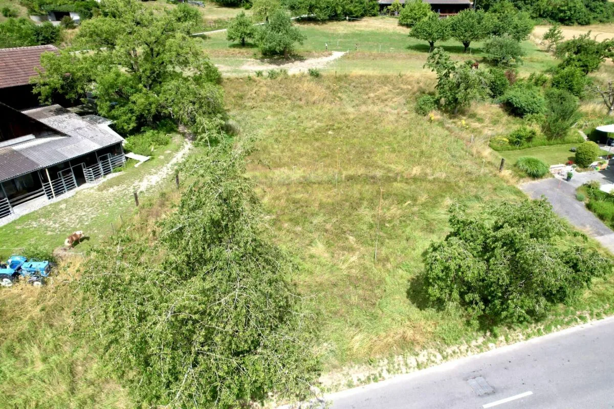 Great plot in a nature-connected location