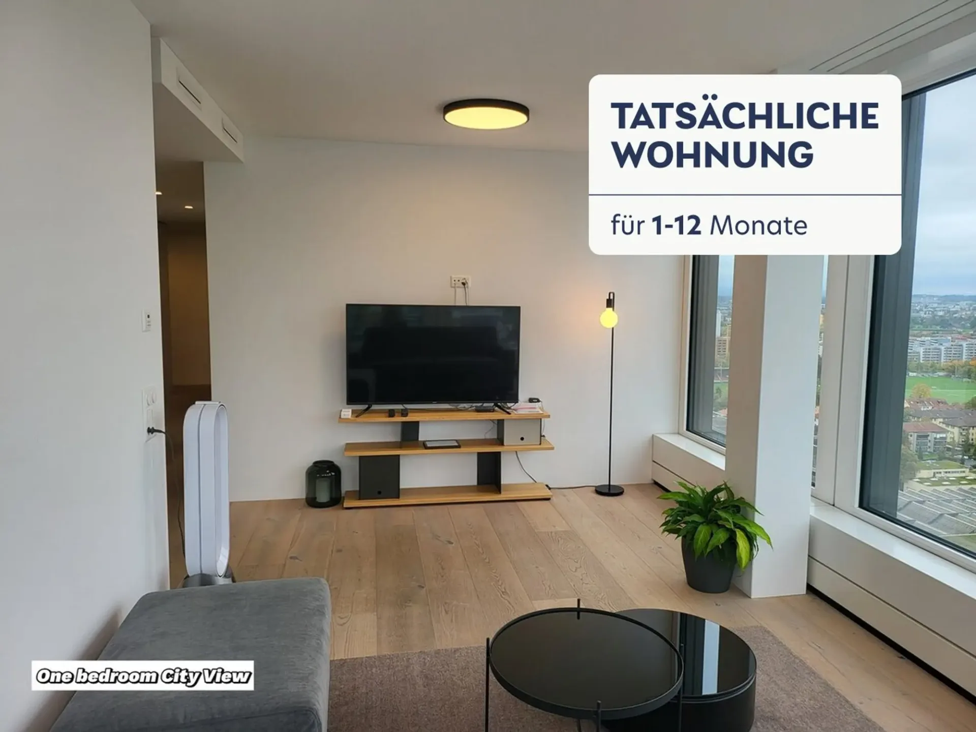Building Dammstrasse (ZRH1580668P)