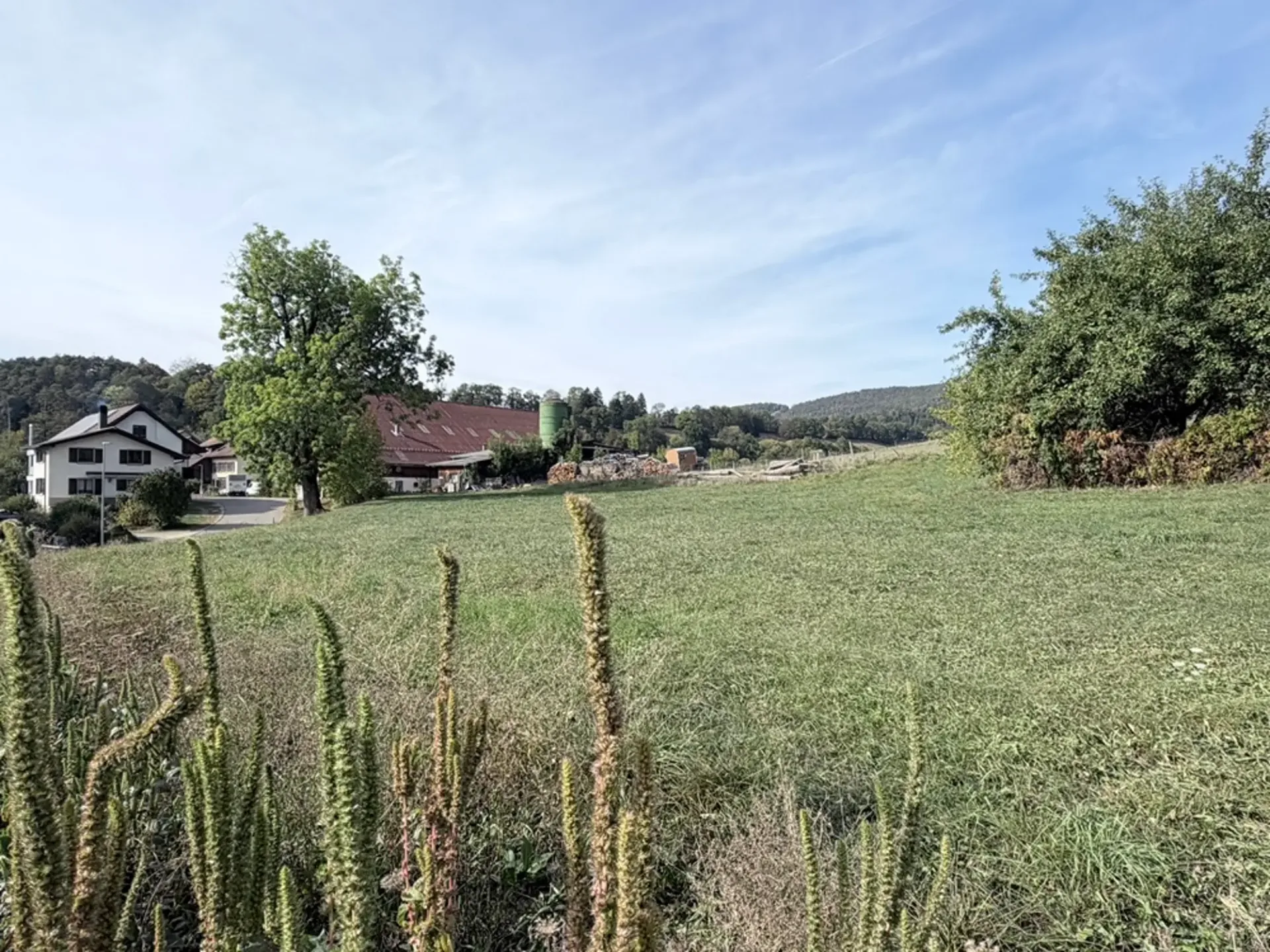 Bauplatz, Vicques - 1223600