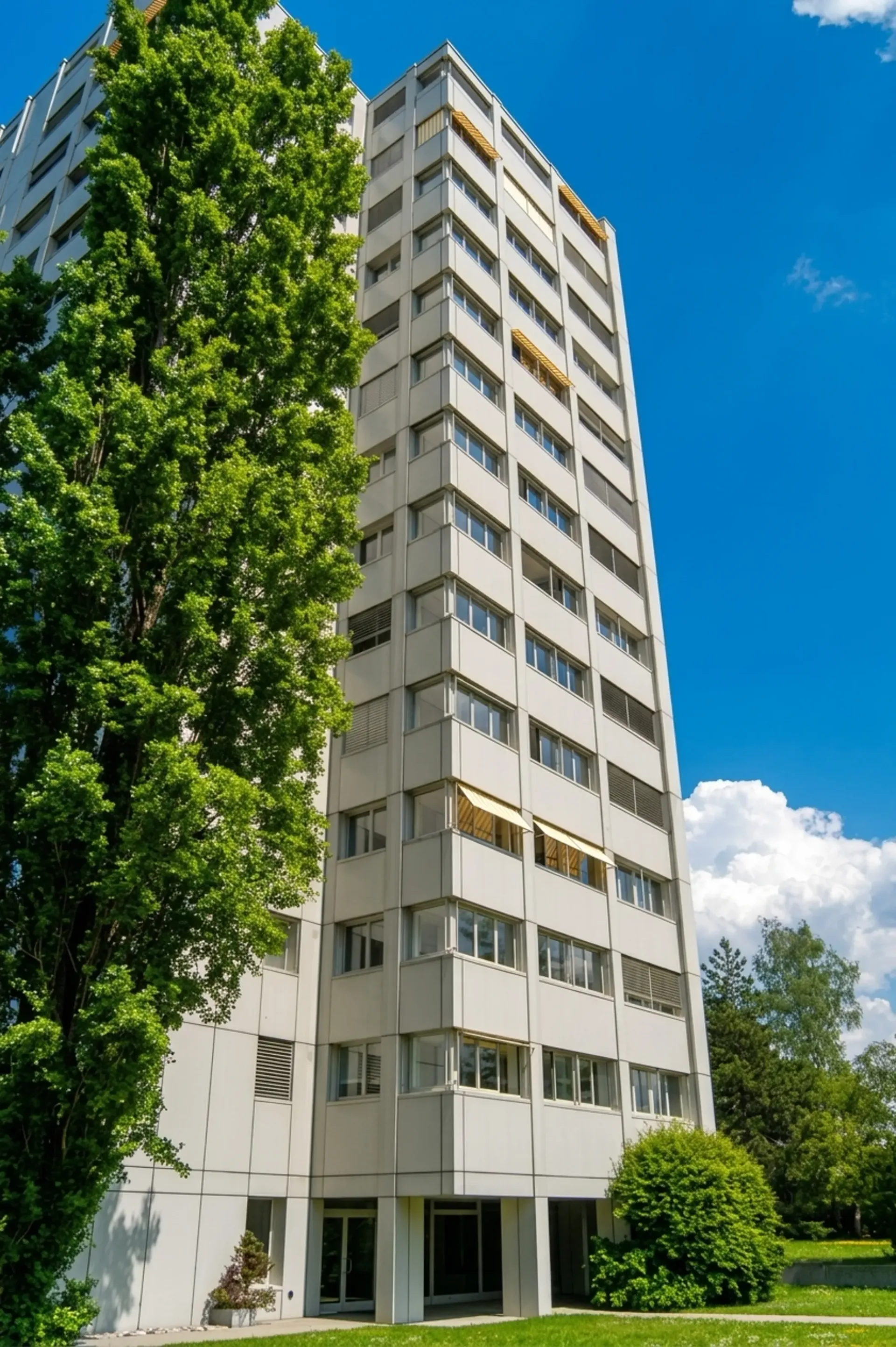 Attraktive Wohnung mit Weitblick, guter ÖV-Anbindung & Einkaufsmöglichkeiten
