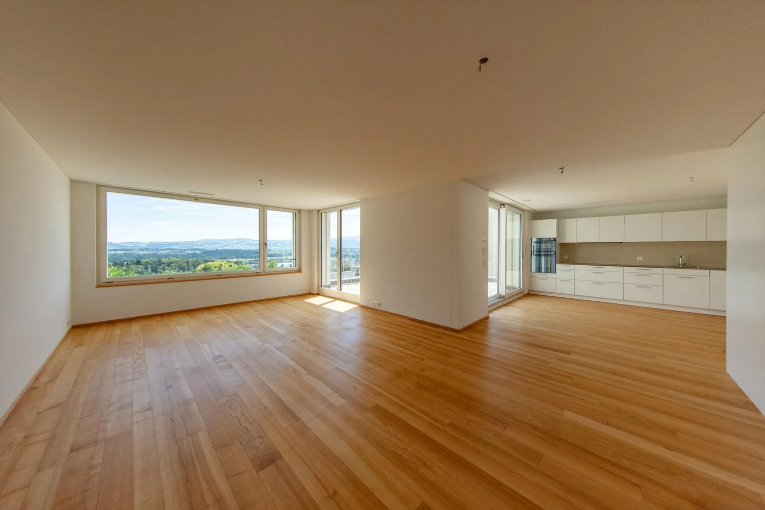 Vivere vicino alla natura, vivere in modo moderno Casa unifamiliare di 4,5 locali a Sins