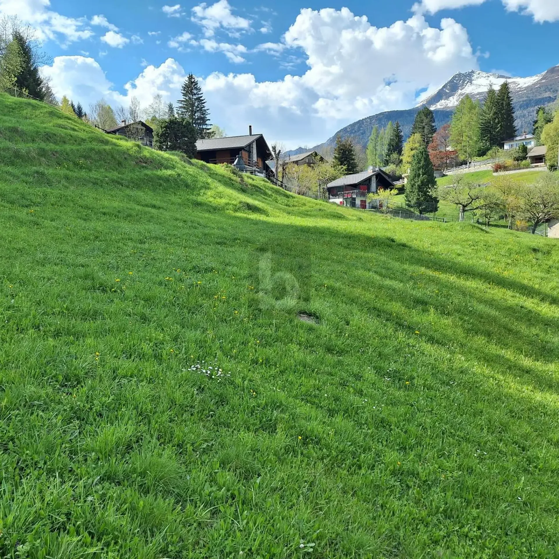 In ruhiger und sonniger Lage mit Aussicht