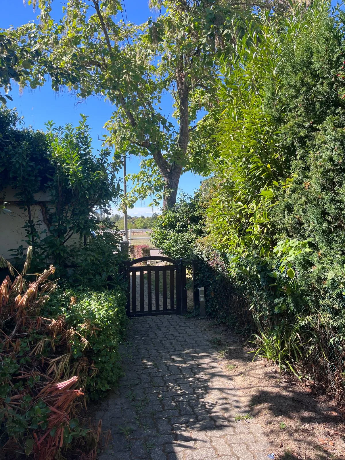 6-Zimmer-Einfamilienhaus auf Binninger Höhe