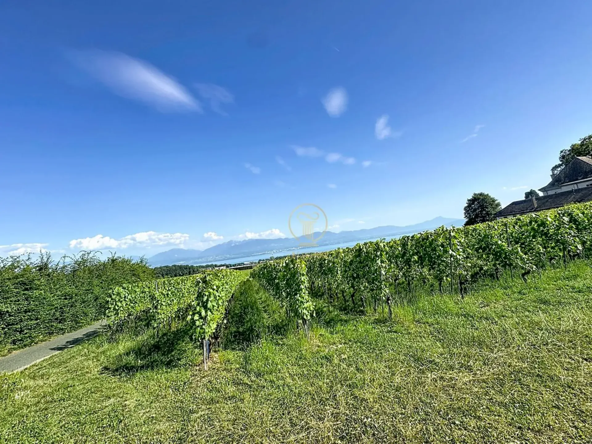 Schönes Appartement mit Blick
