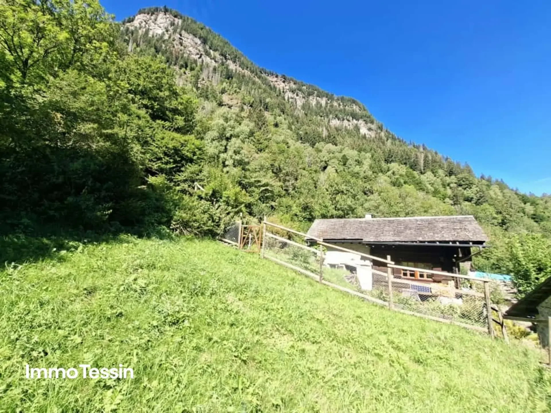 A true Alpine paradise: Authentic and renovated Rustico & an independent studio and 3 plots full of freedom on 11,000 m2 of land