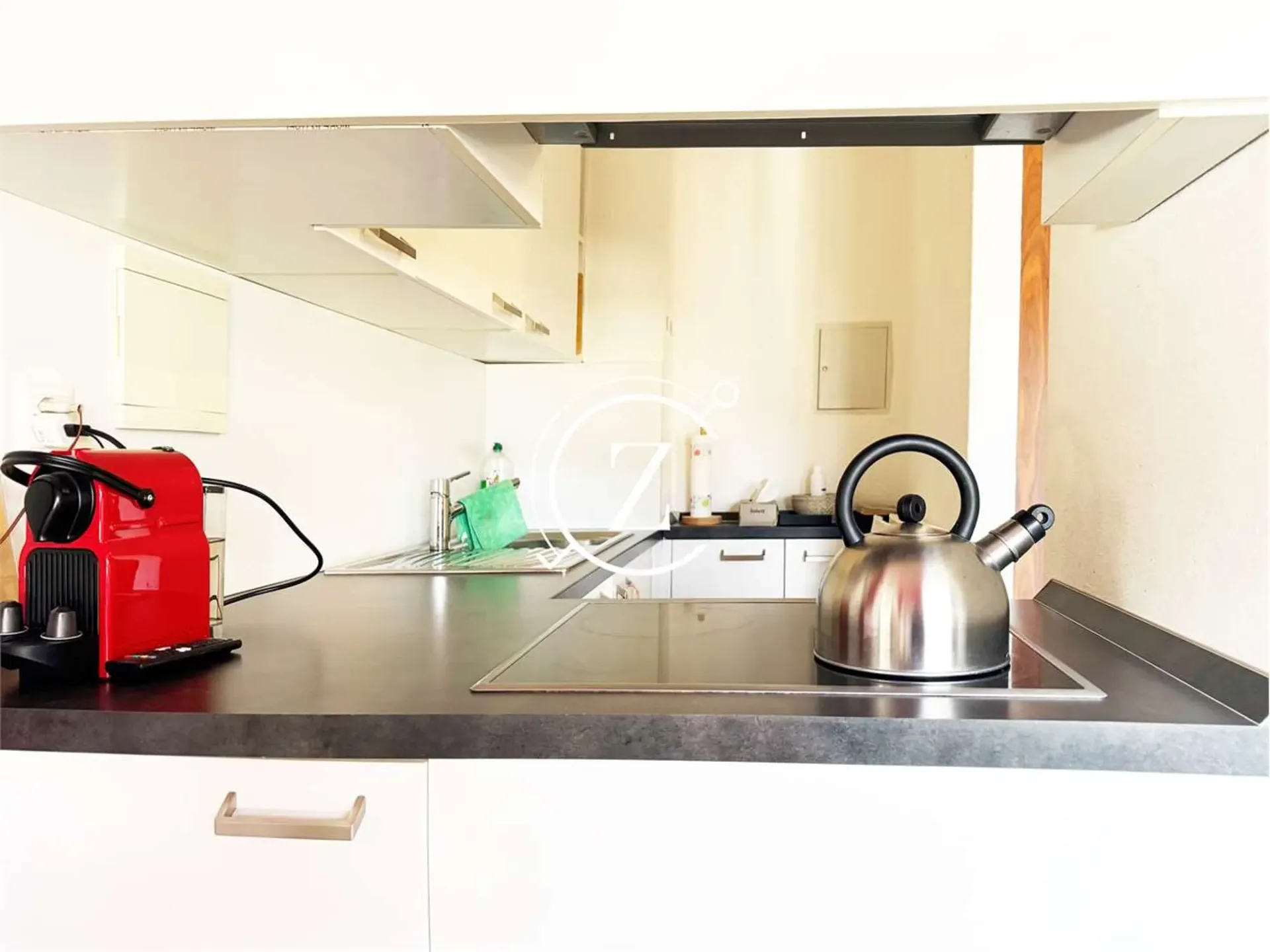 Einzimmerwohnung möbliert in Moncucco mit Seeblick