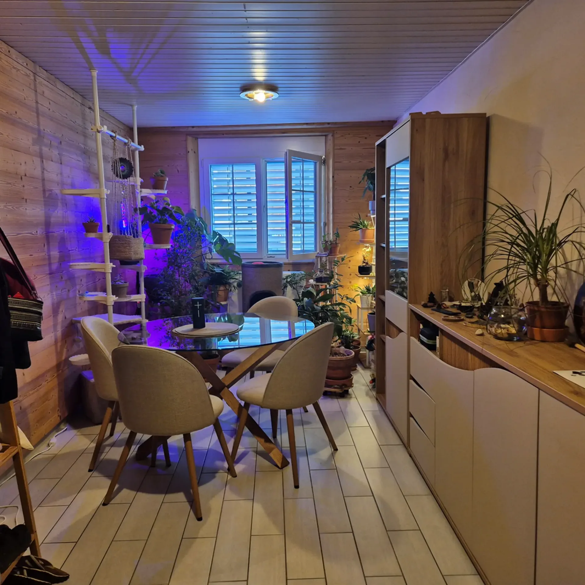 ST-GINGOLPH - SCHÖNES APPARTEMENT ZU VERMIETEN