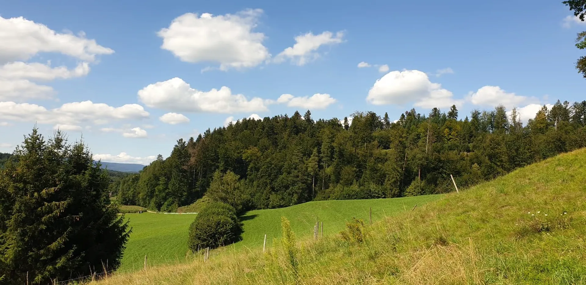 Attraktives Bauland an ruhiger Lage – Uerkheim