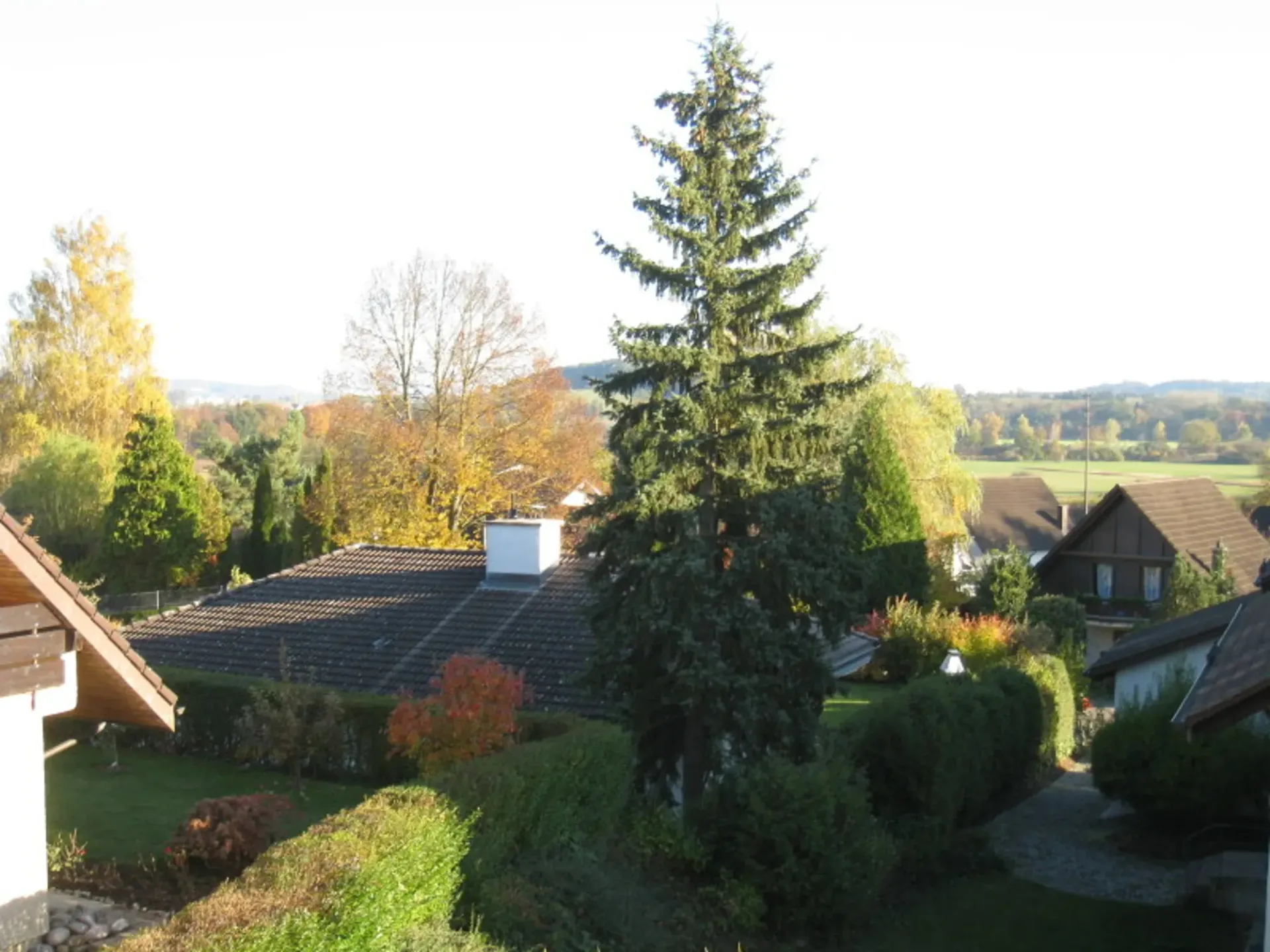 Oase im Grünen