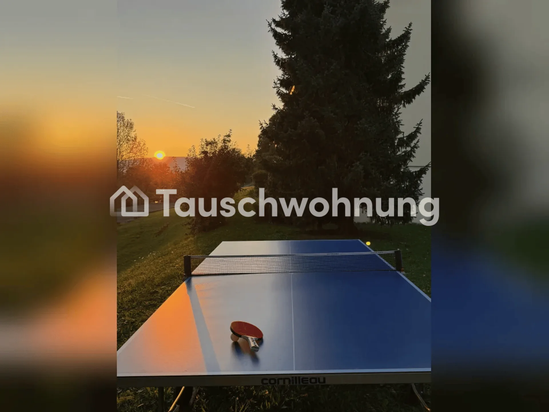 Tausche 3-Zi Whg nahe Werdinsel gegen grössere Whg im Umfeld