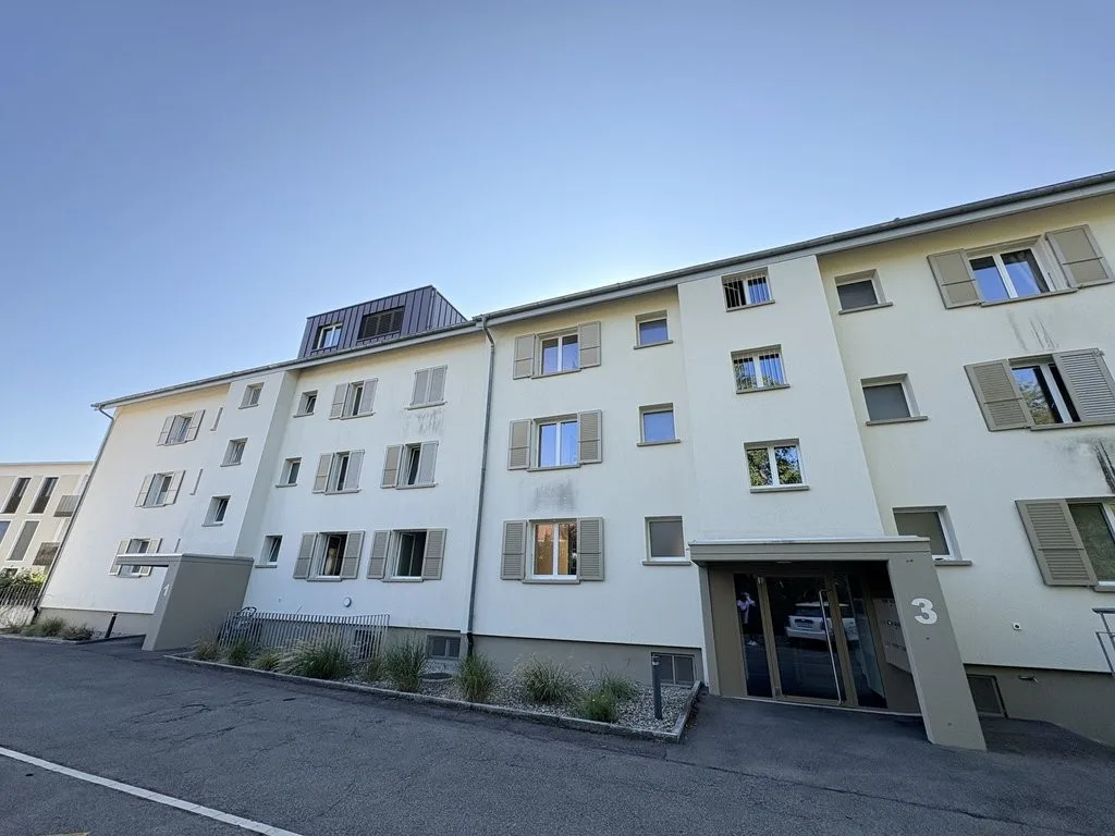 Appartement cherche célibataire !