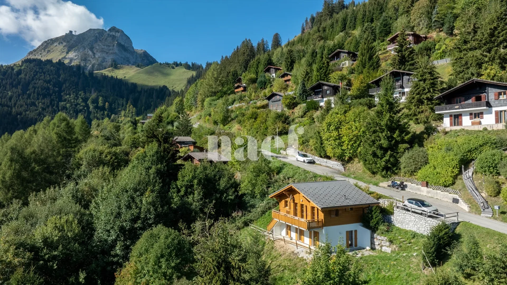 Cozy chalet in an exceptional setting for sale in Moléson-sur-Gruyères