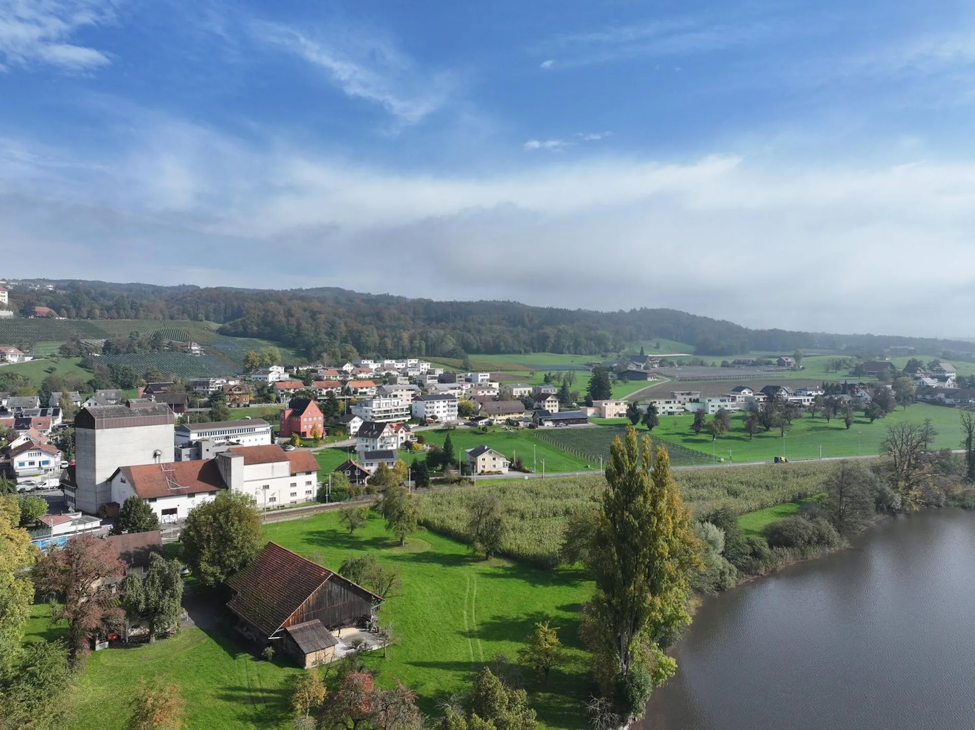 Unverwechselbar individuell: «Turmfalke» am Baldeggersee, Gelfingen