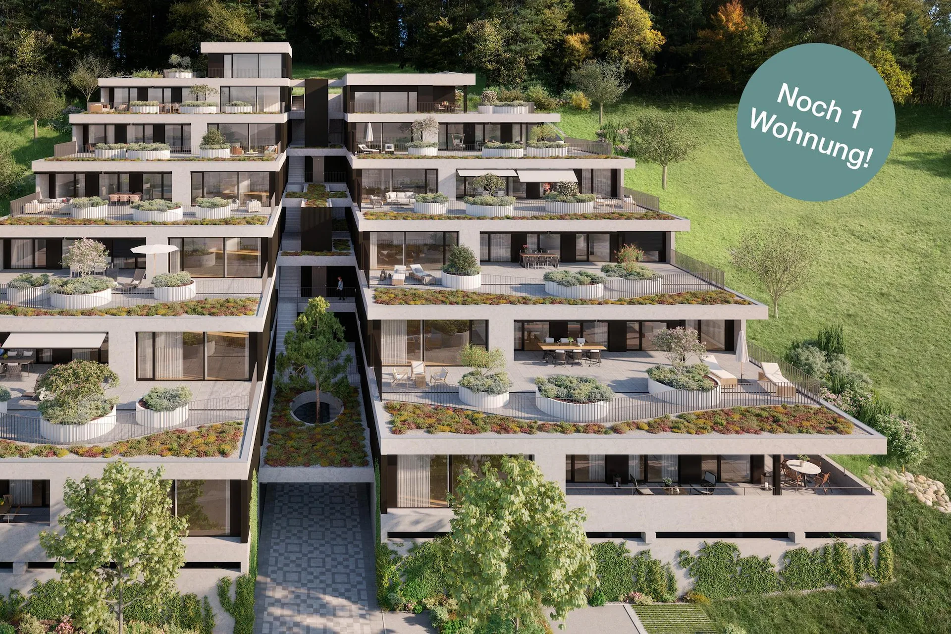 Gartenweg Erlinsbach - Letzte Terrassenwohnung