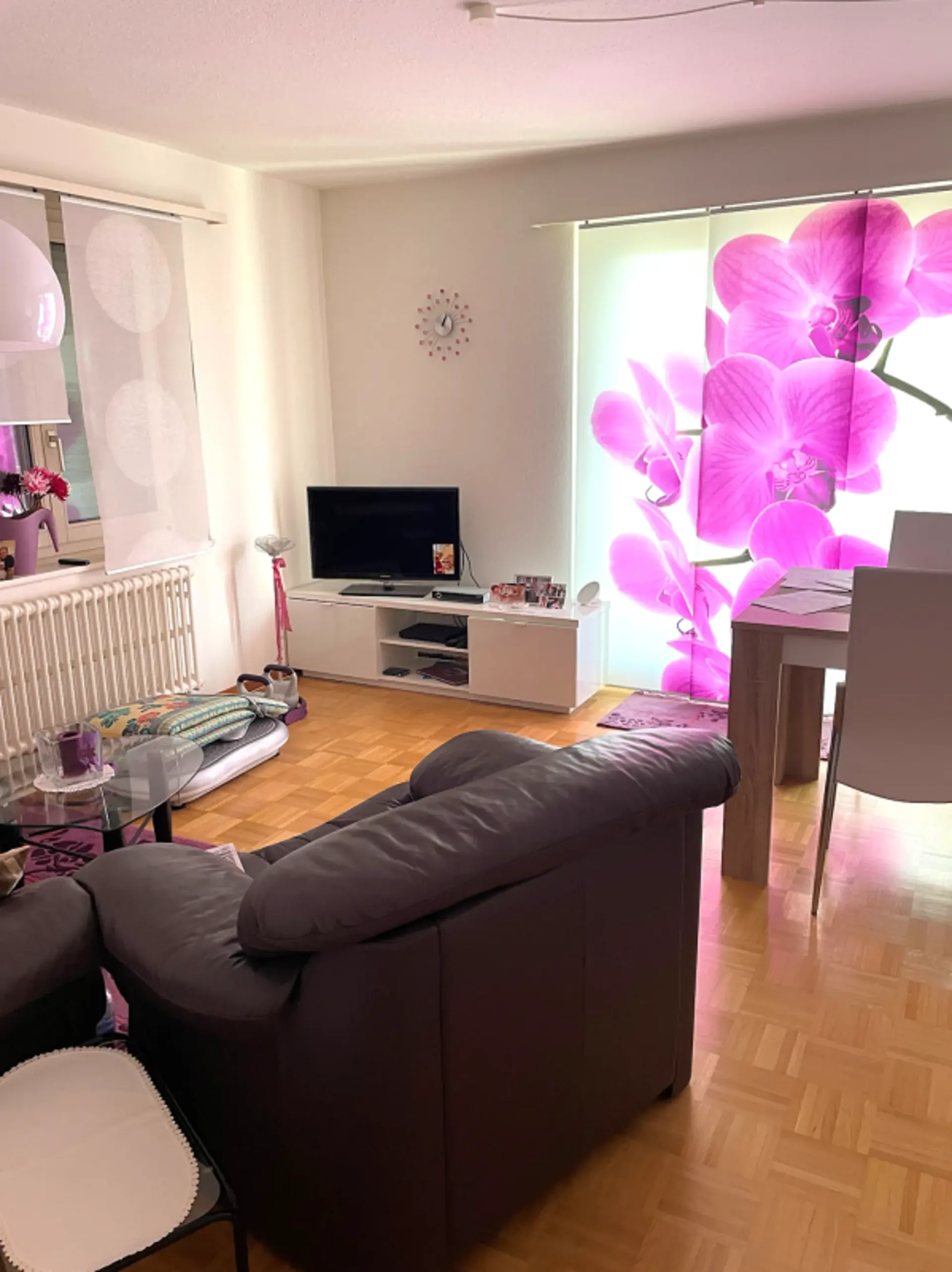 Helle 3.0 Zi-Wohnung zu vermieten