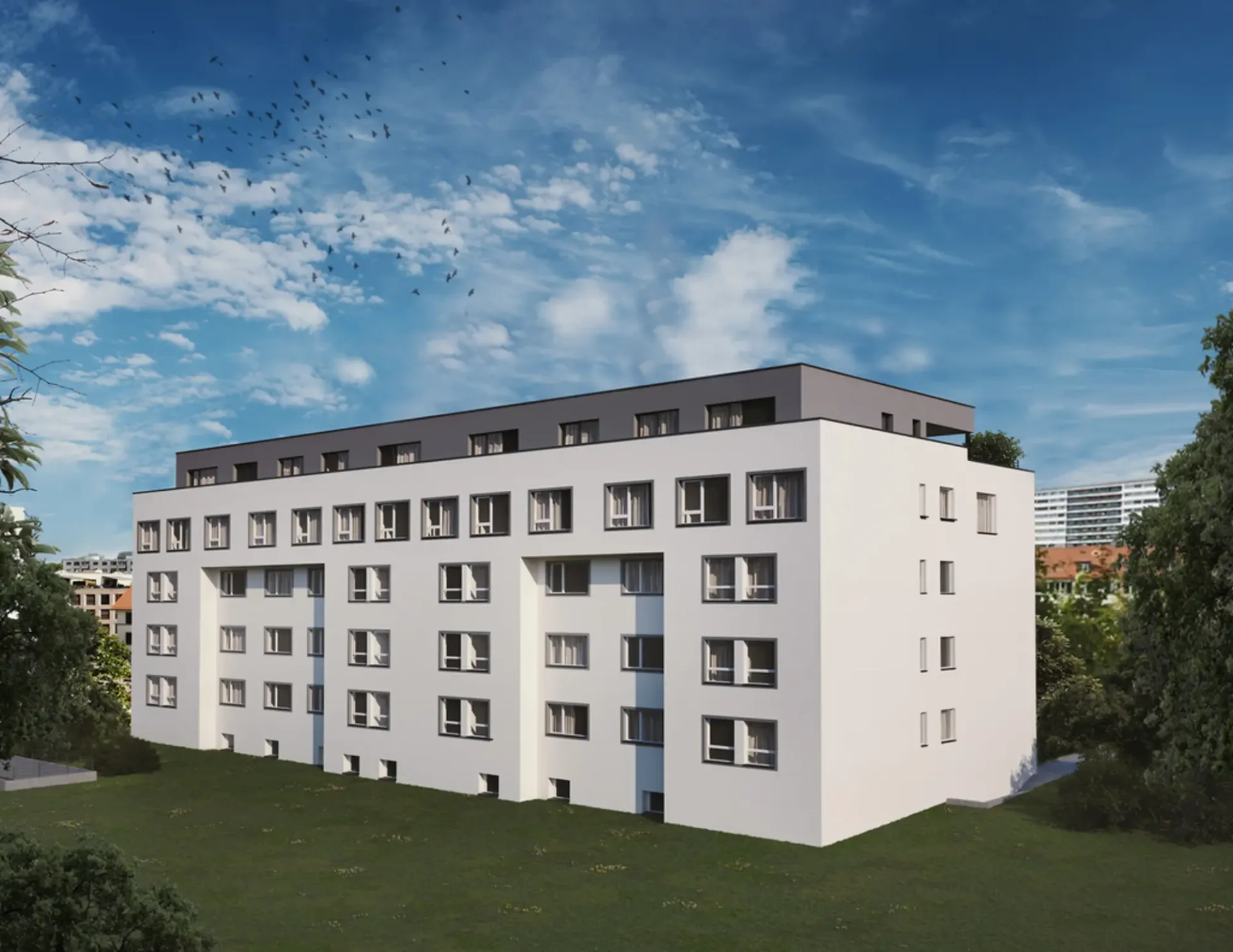 Bright 4.5-room apartment with a view of the Birs
