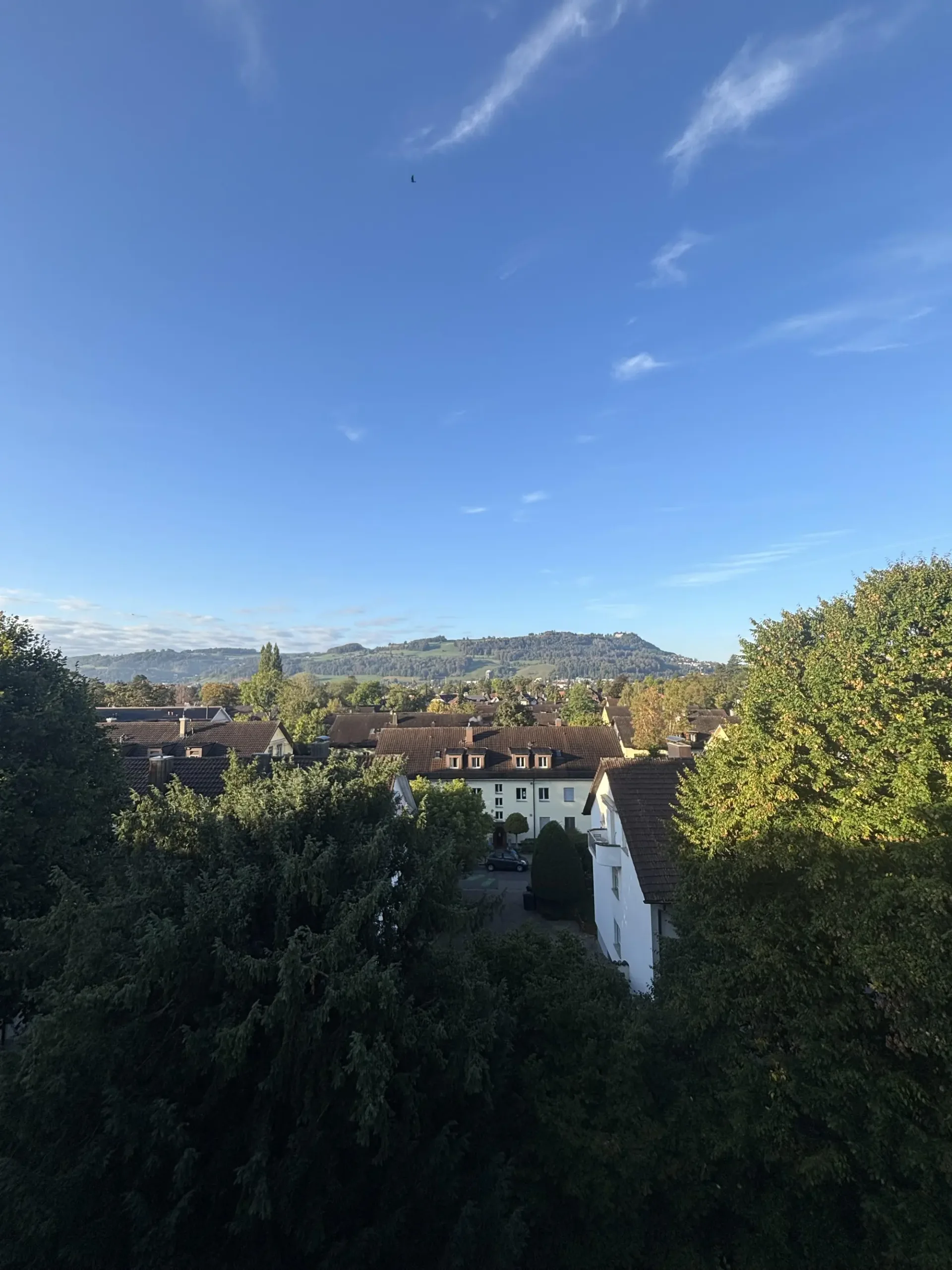 Bright 3-room apartment in Bern