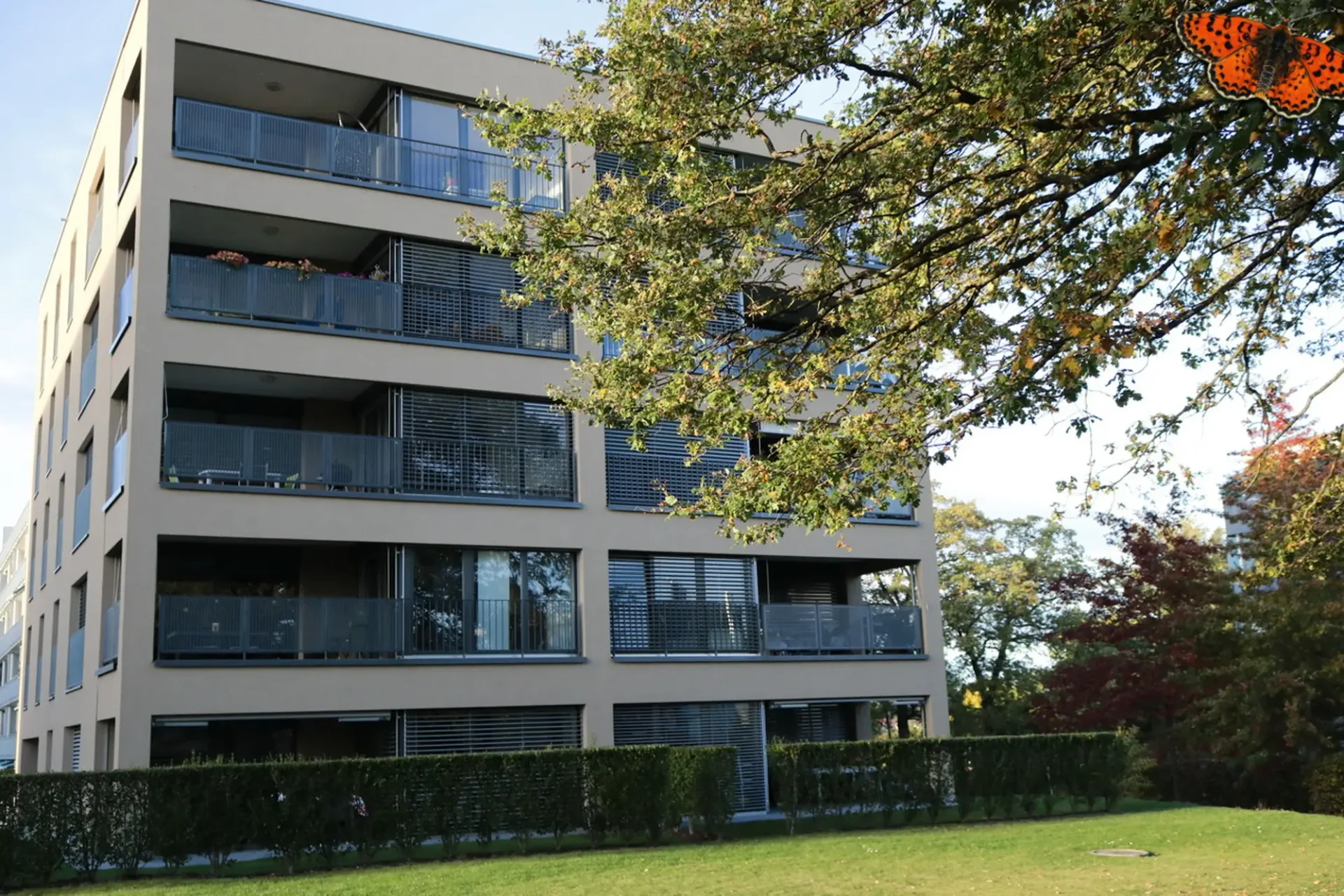 4½ ZIMMER - Ruhig!
