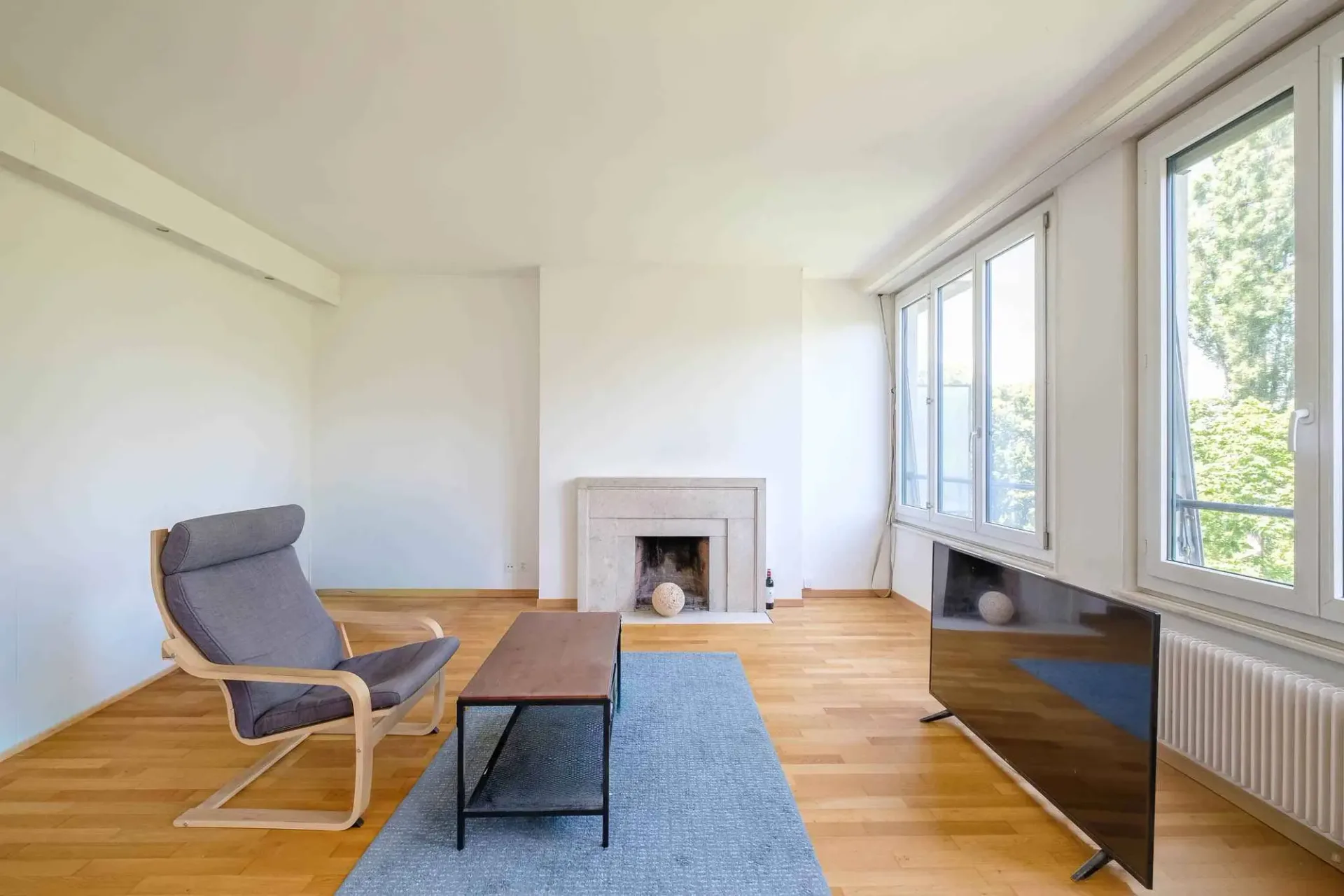 Schönes 2-Zimmer-Apartment mit Blick auf die Eaux-Vives
