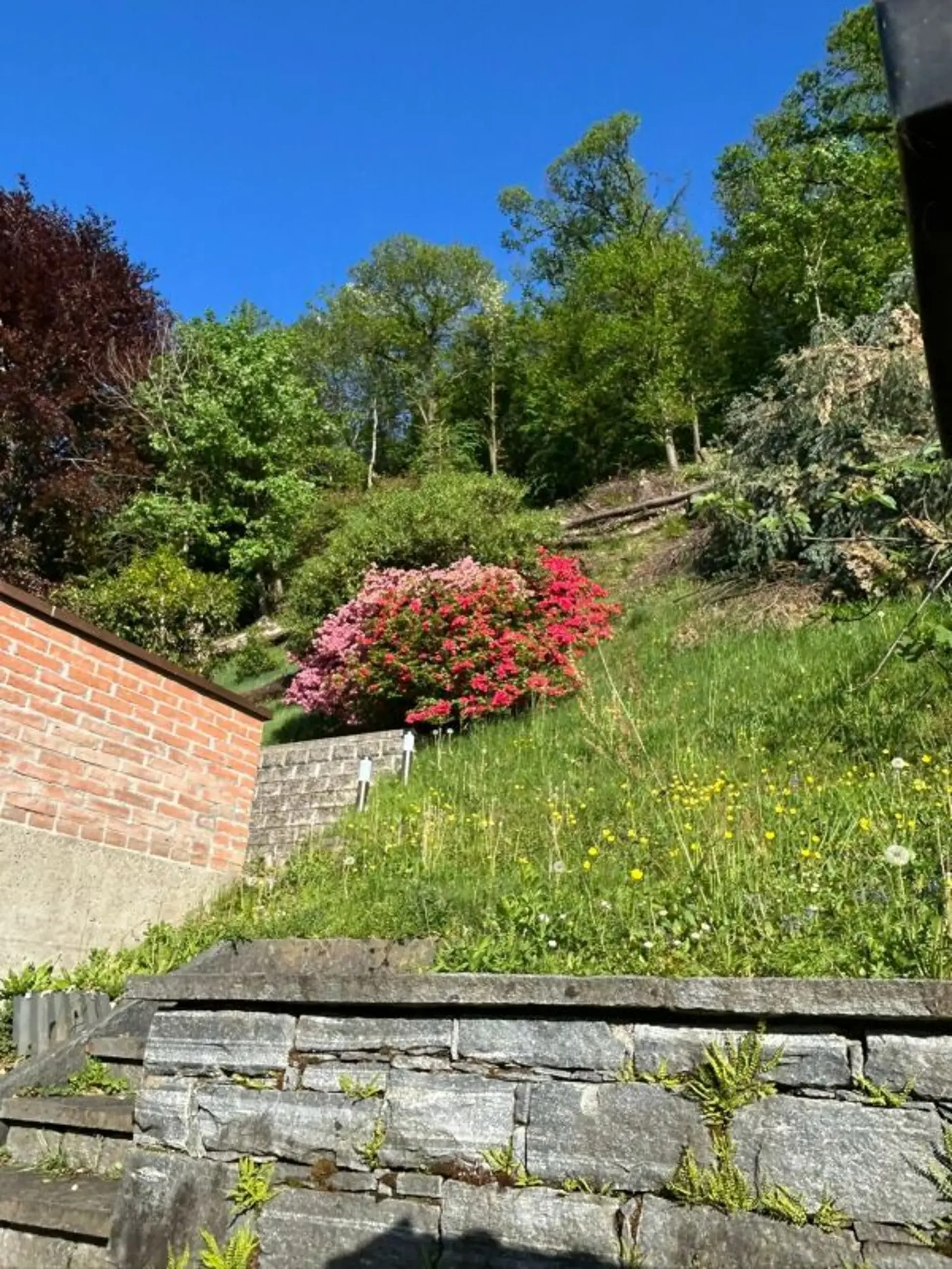 Schönes Haus in Wohnlage