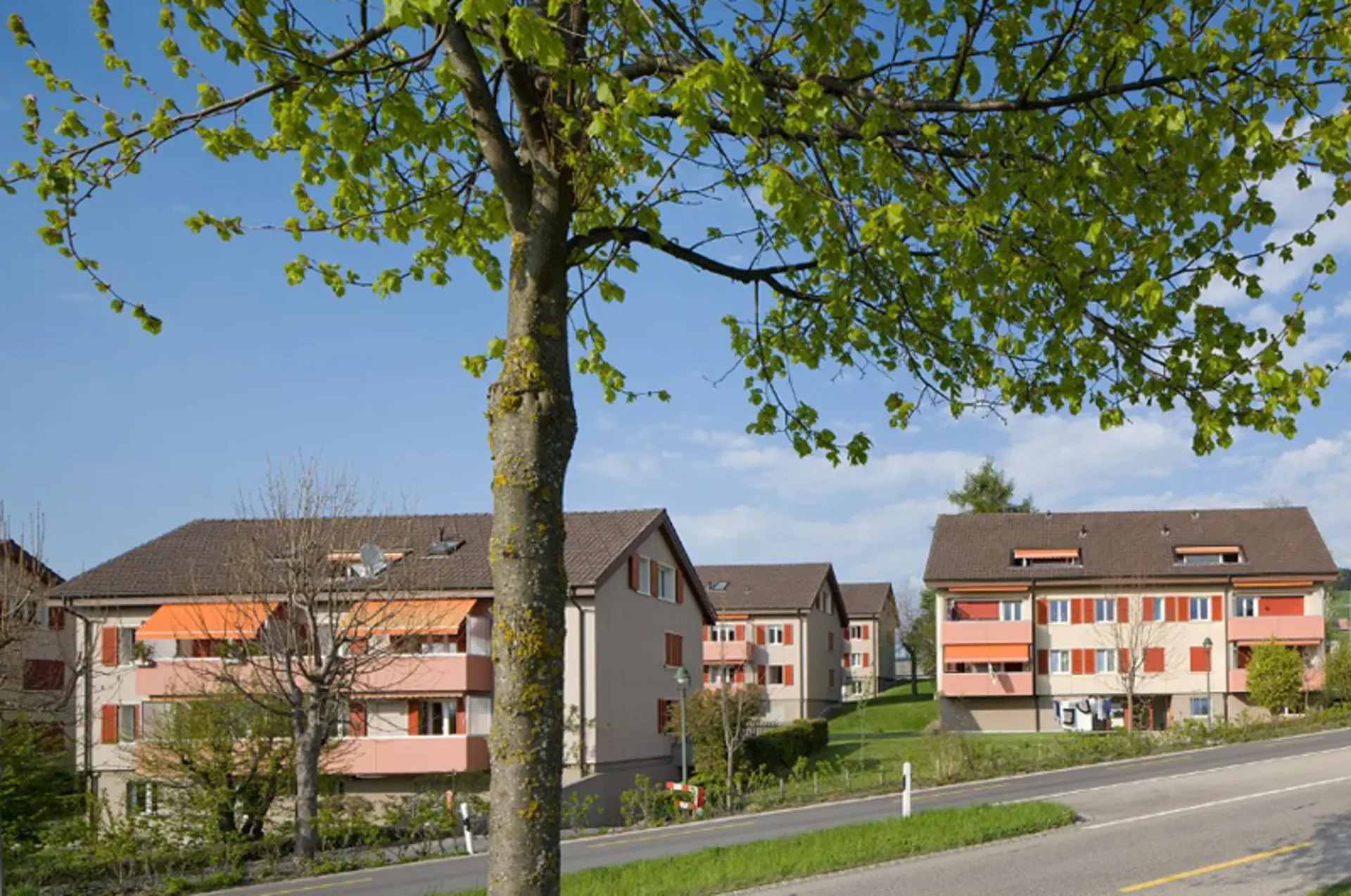 Sicht auf das Bergpanorama aus dem Wohnzimmer!