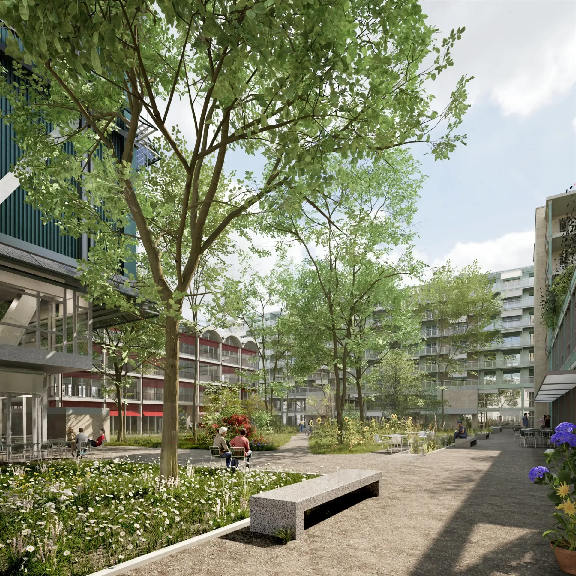 Bloomville Regensdorf  Ihr neuer Standort mit Zukunft
