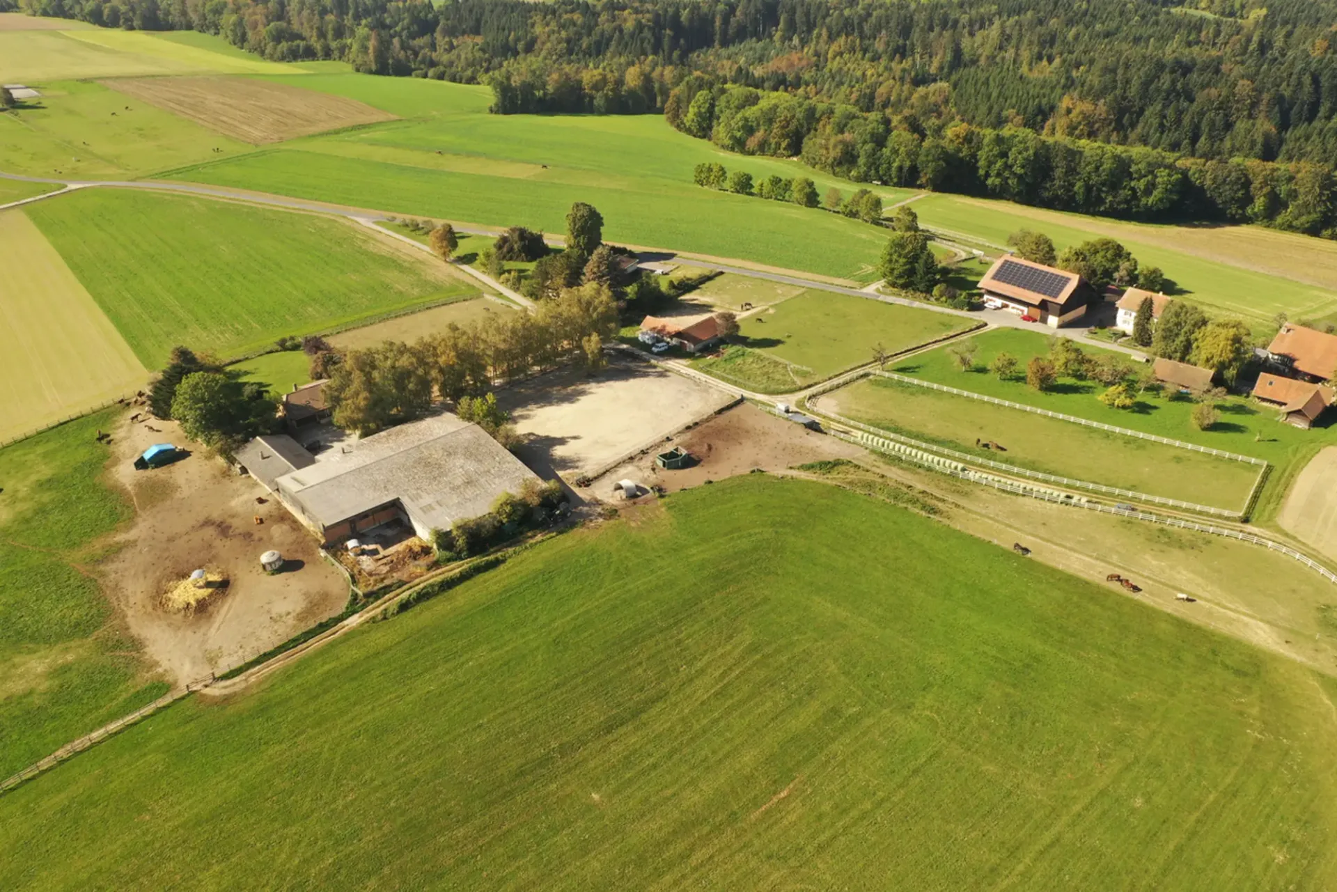 Pferdezentrum in der Nähe von Lausanne