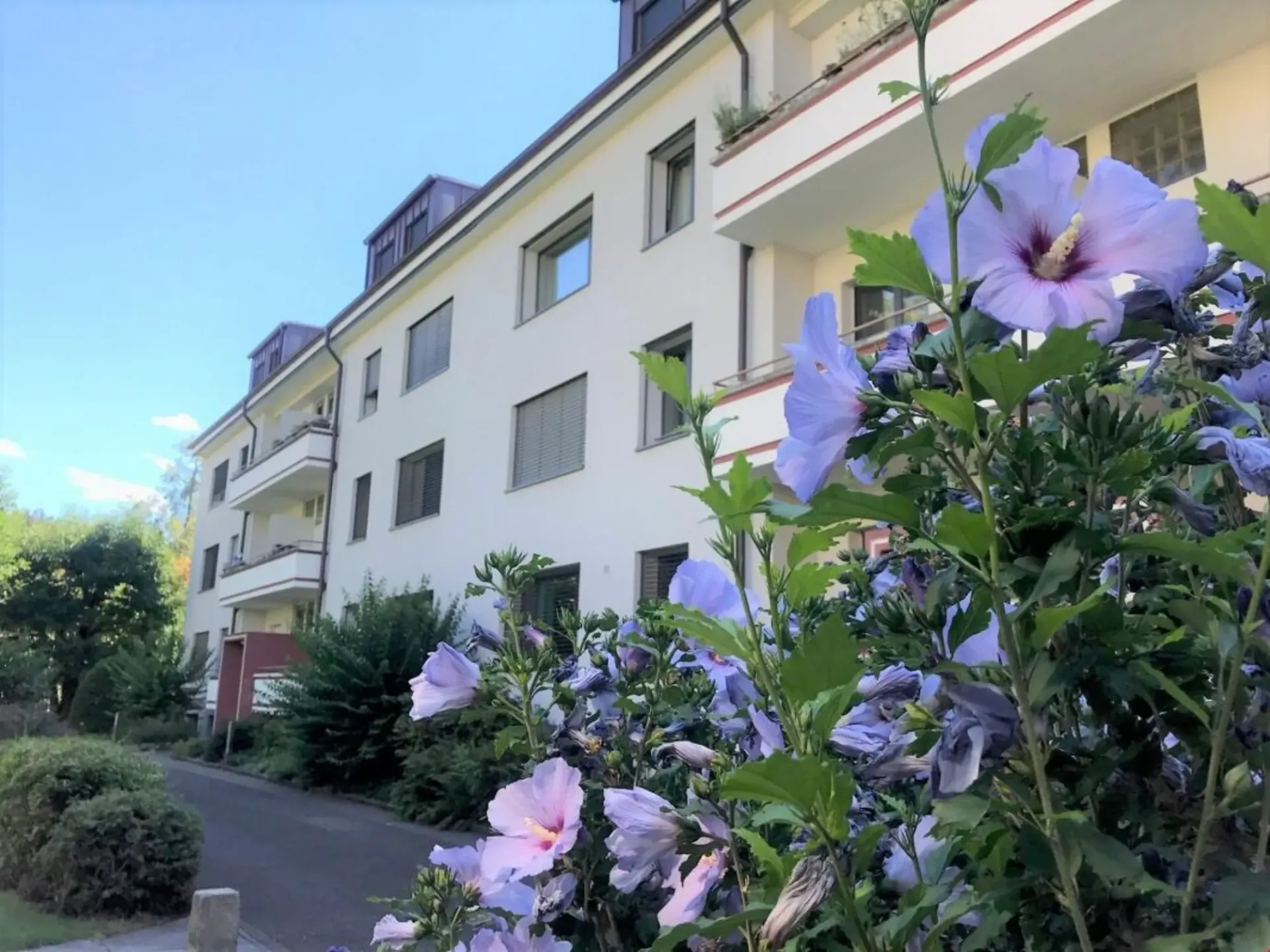 Appartement moderne 4 pièces à Riehen