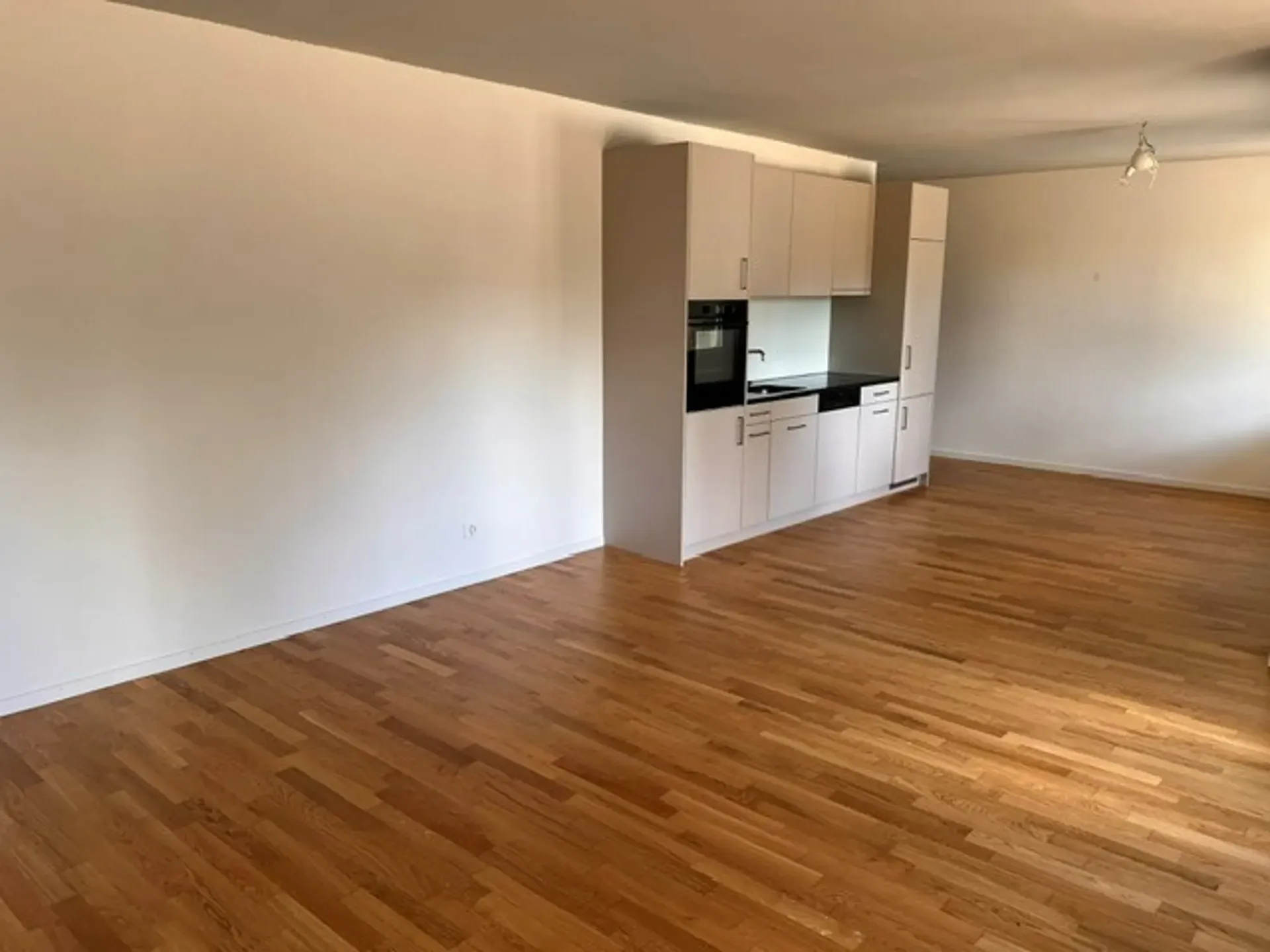 Modern and bright 1 bedroom apartment in the Hirzbrunnen quarter!