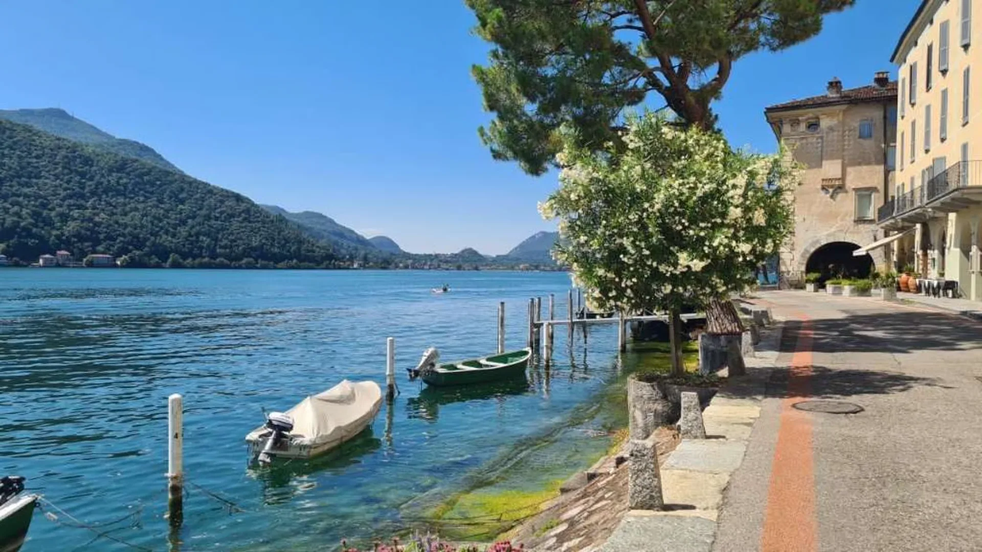 MORCOTE: GRAZIOSO 2.5 LOC. IN ZONA LUNGOLAGO