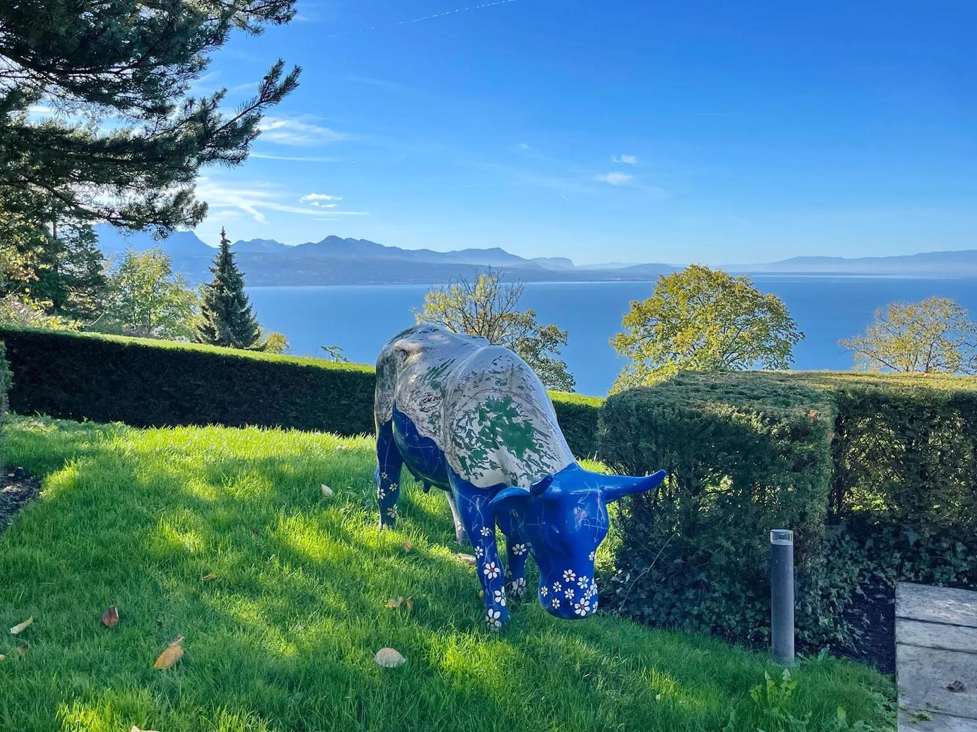 La Croix-sur-Lutry Magnifique appartement en terrasse avec piscine privée