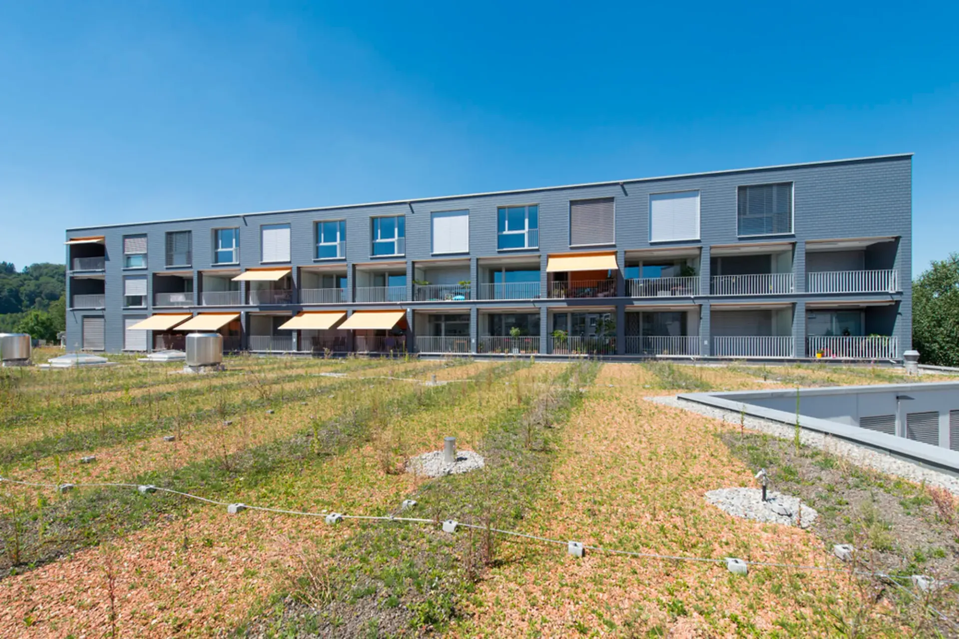 Moderne Wohnung an zentraler Lage