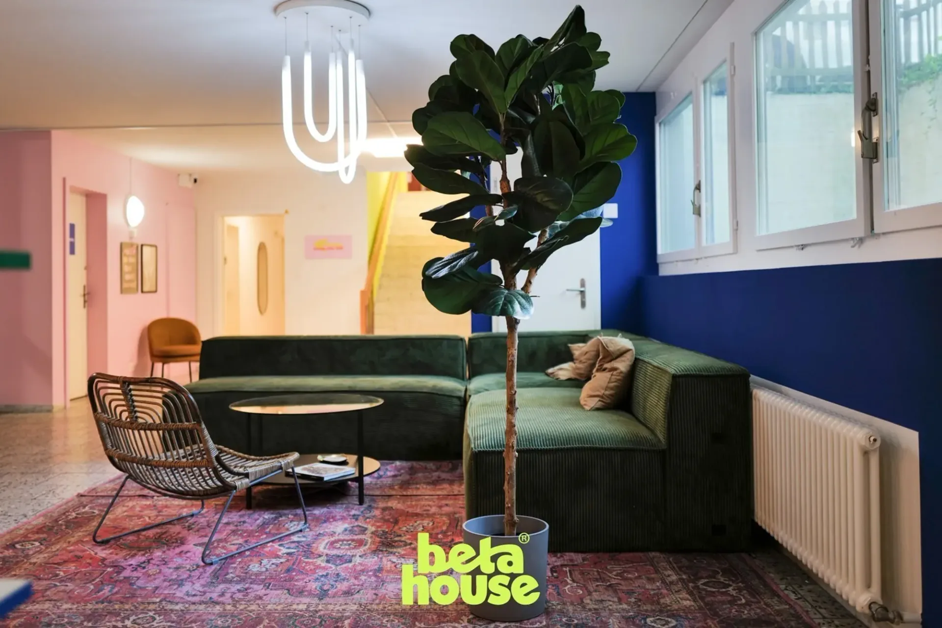 Möbliertes Zimmer für Studierende - betahouse Co-Living Zürich (Zürichberg) - ab CHF 999 inkl. - ab 16.09.2026