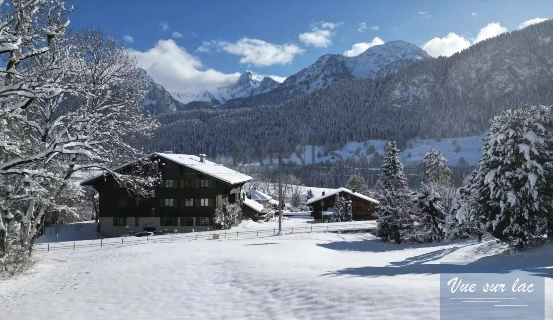 Il tuo duplex nell'Oberland Bernois, la magia della Svizzera