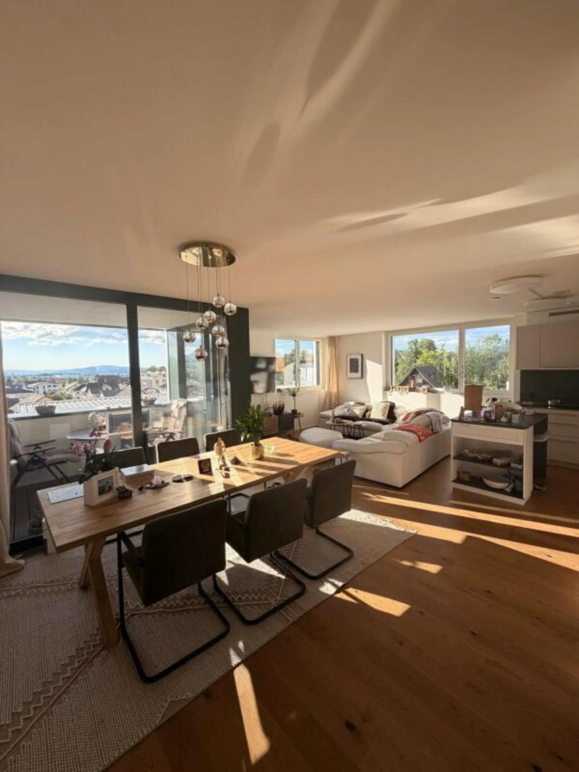 Modern 4.5 room apartment