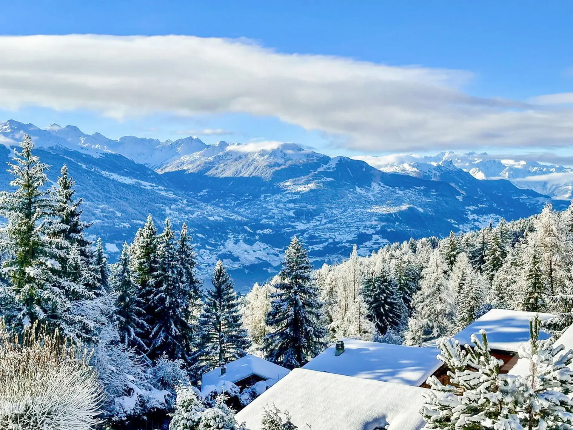 Geräumige renovierte 2.5-Zimmer-Wohnung mit herrlicher Aussicht