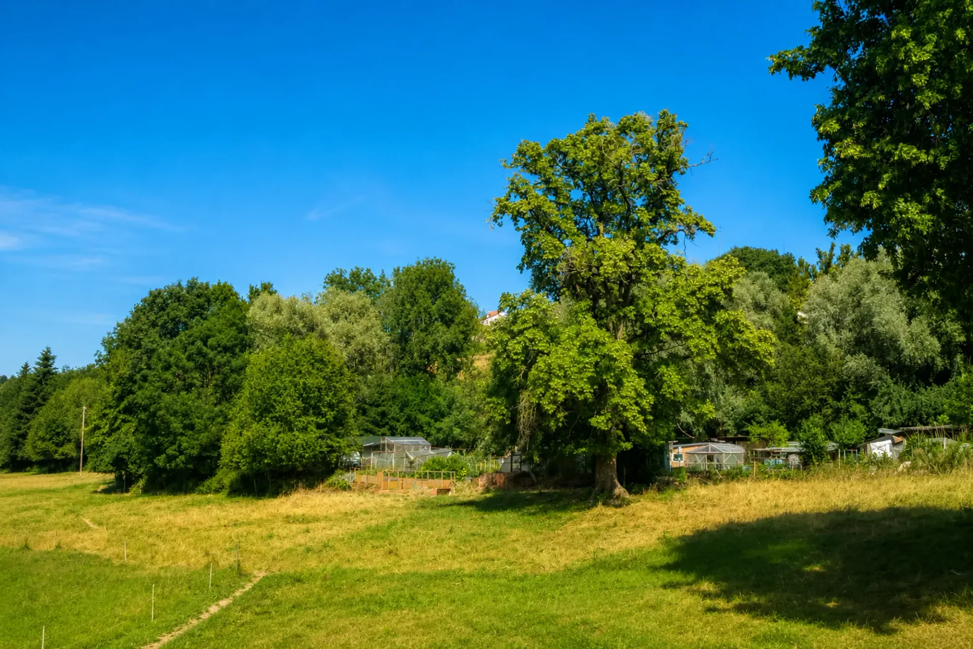 Romont - Landwirtschaftliches Grundstück ideal gelegen, nur wenige Schritte vom Bahnhof entfernt