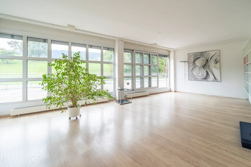 Attikabüro mit herrlicher Aussicht - Ihr Geschäft in Wollerau