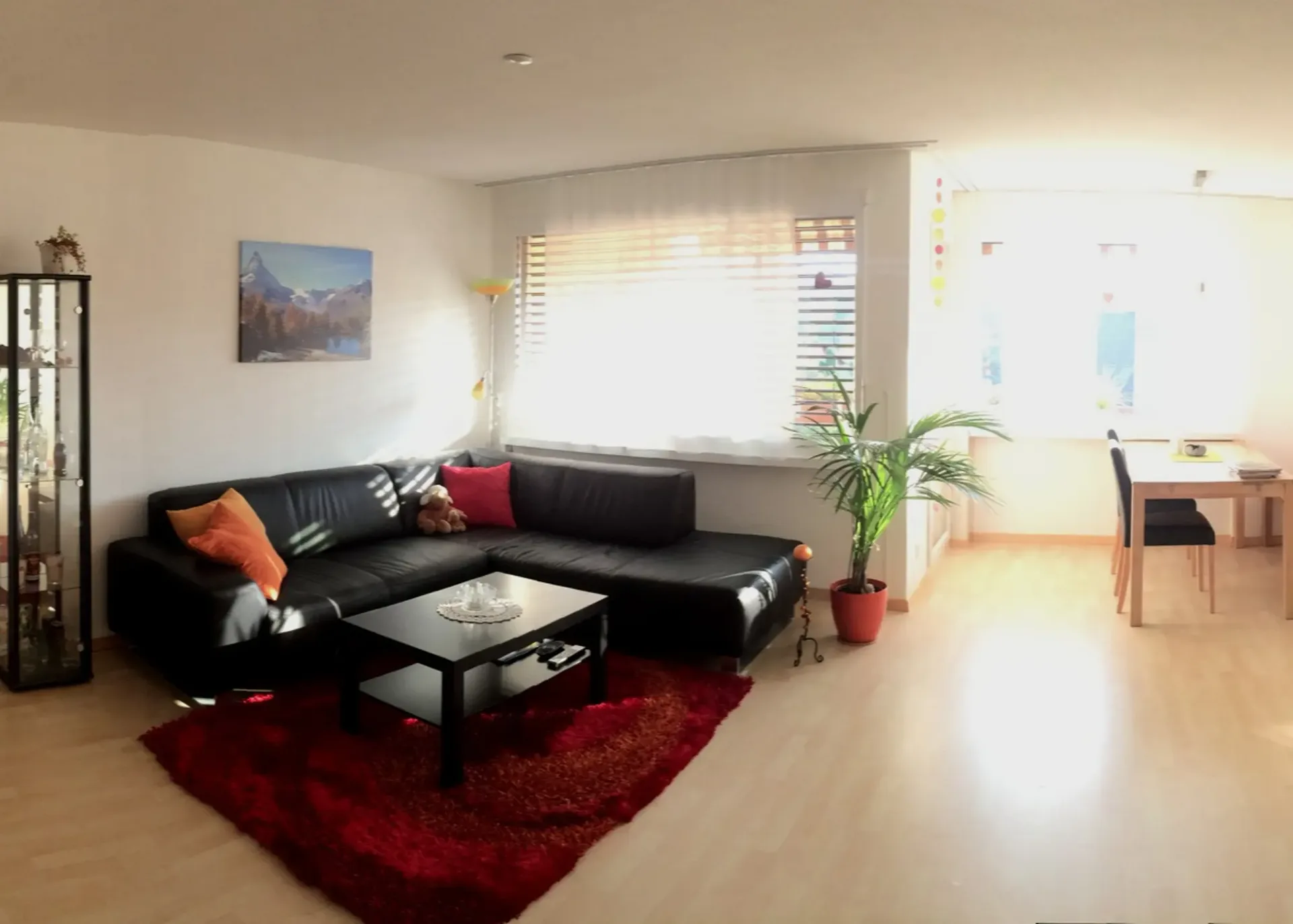 2½ LOCALI APPARTAMENTO A WINZNAU (SO), ARREDATO, TEMPORANEO