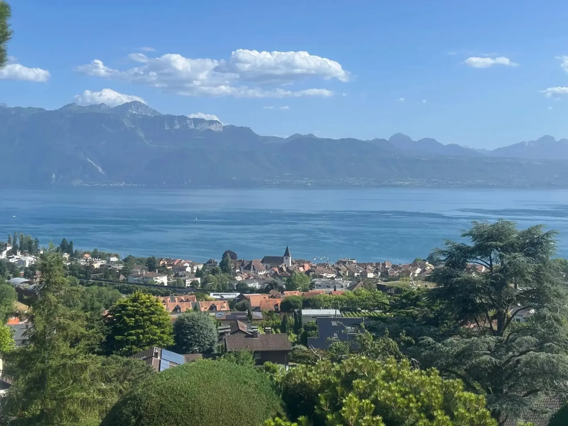 The lake, the vineyards and Lutry at your feet!
