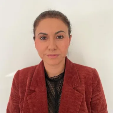 Merita Hatemi