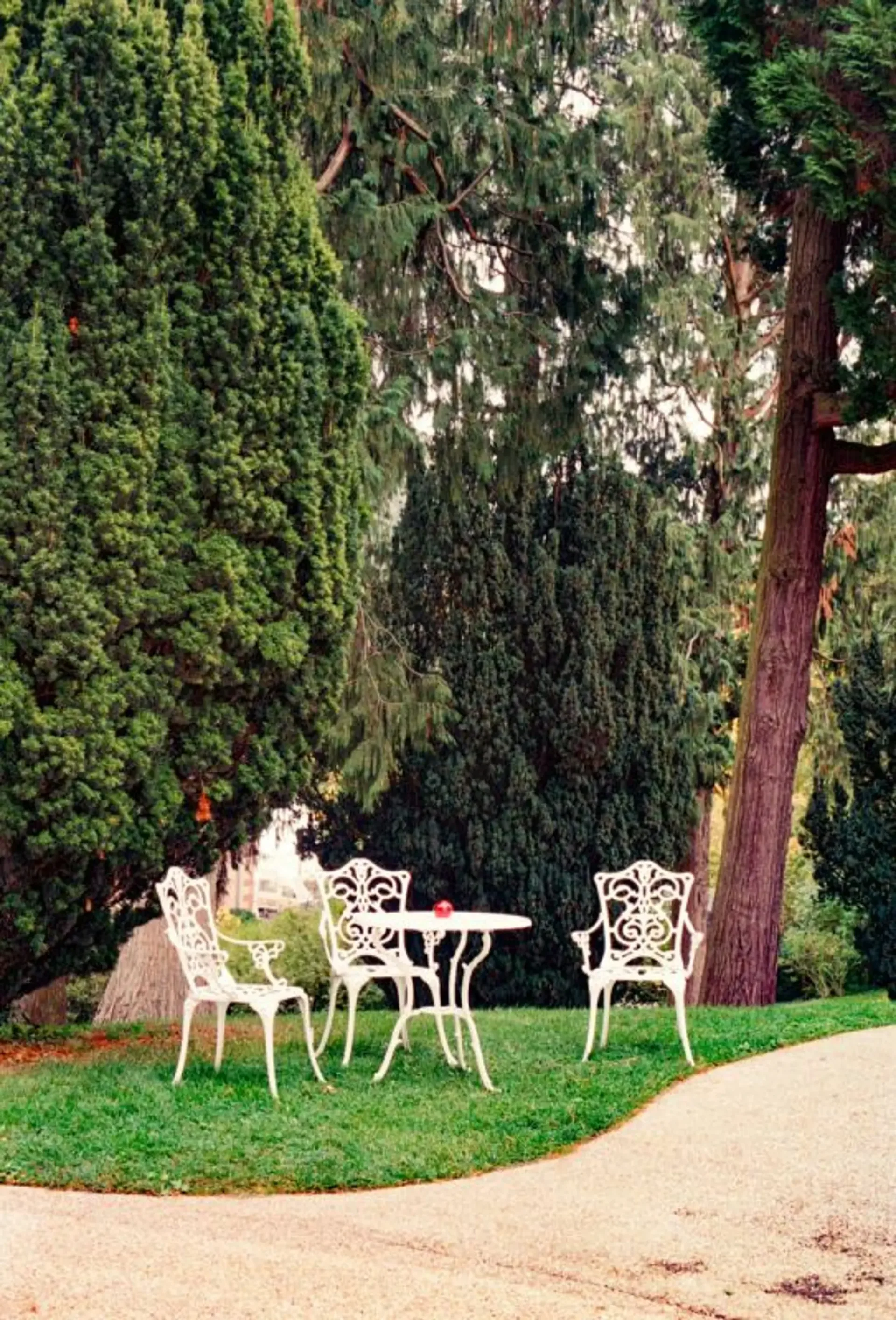 Elegantes und hochwertiges Apartment zur Miete