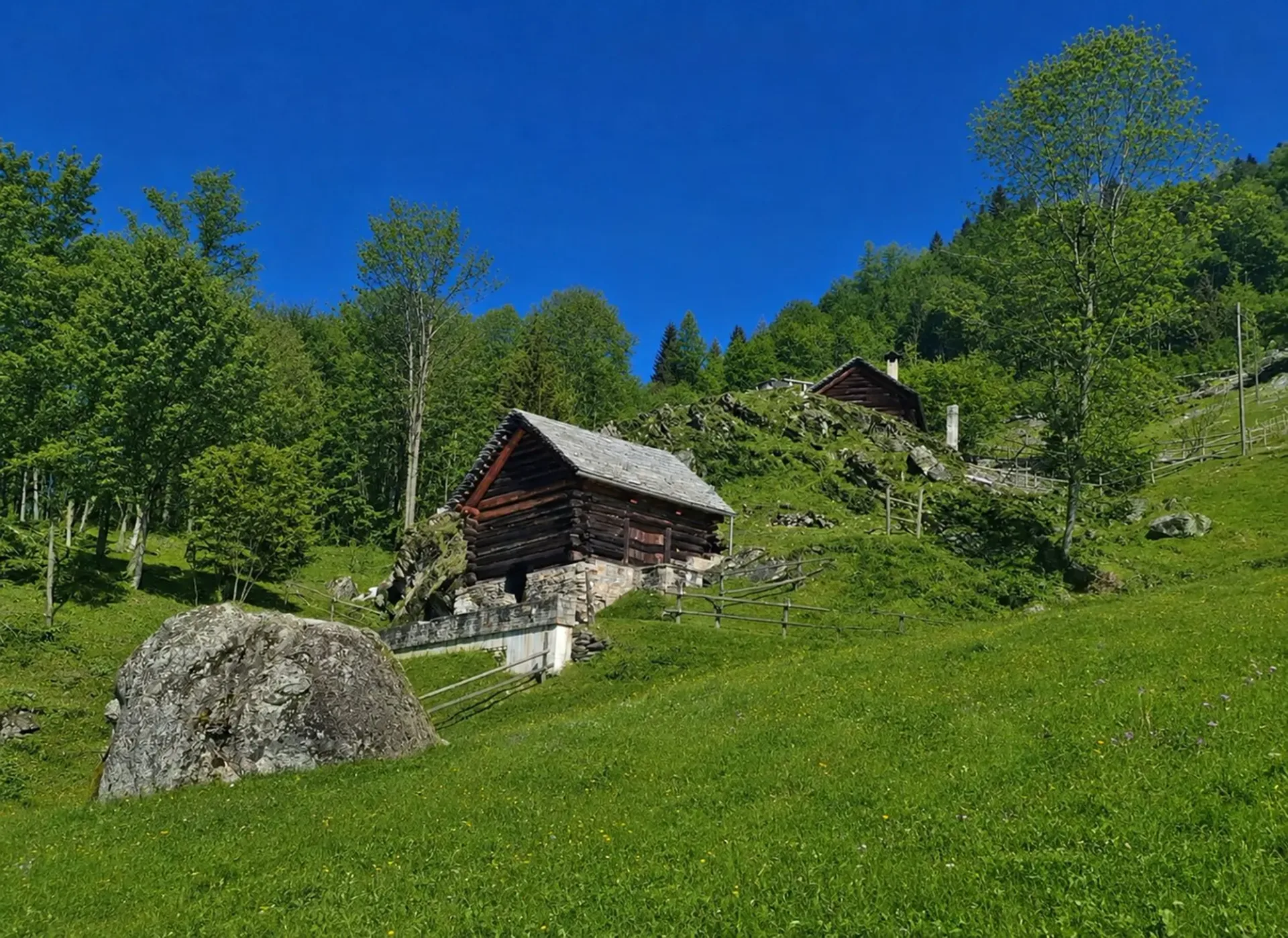 Rustico im Wald - Zweitwohnsitz - Mogno, LavizzaraTal