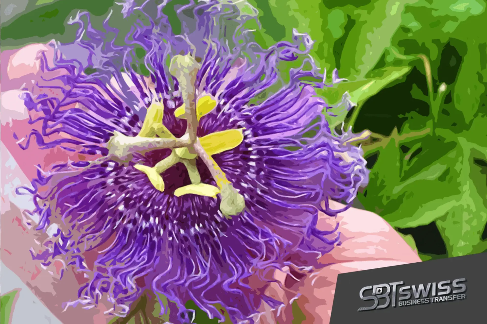 BELLINZONESE: SUCCESSFUL FLORAL BUSINESS FOR SALE