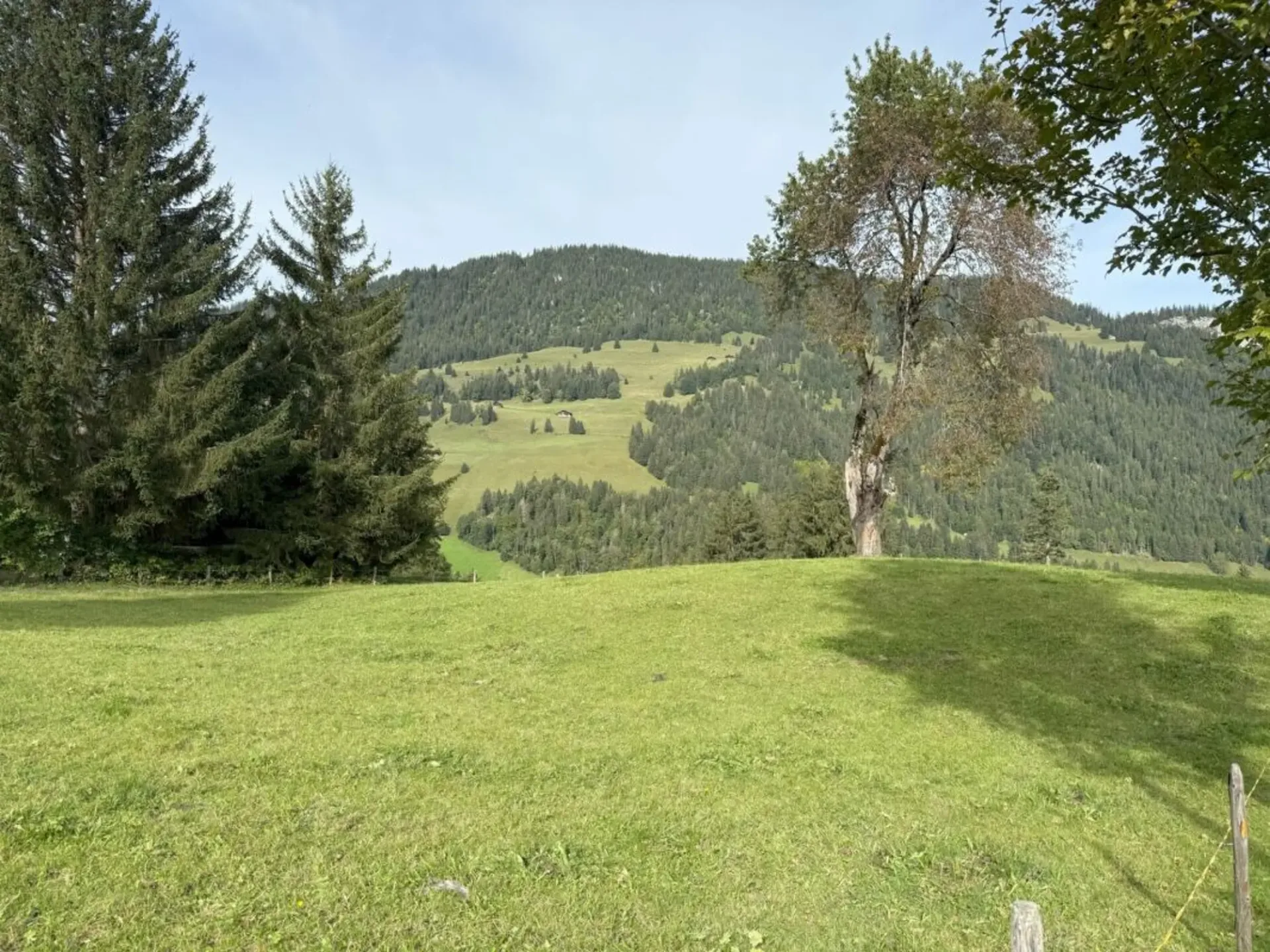 Bauland an attraktiver Lage in Zweisimmen (Rinderberg)