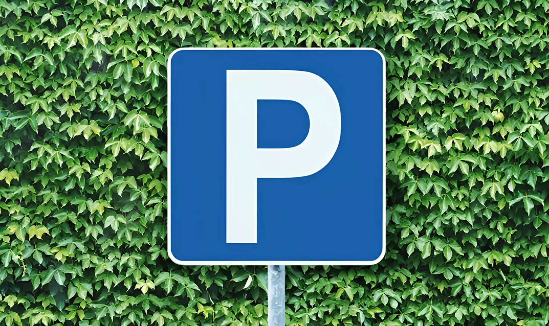 Autoparkplatz zum Vermieten!
